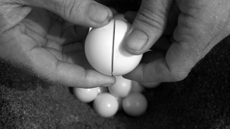 Lottery (Lotería), 2017