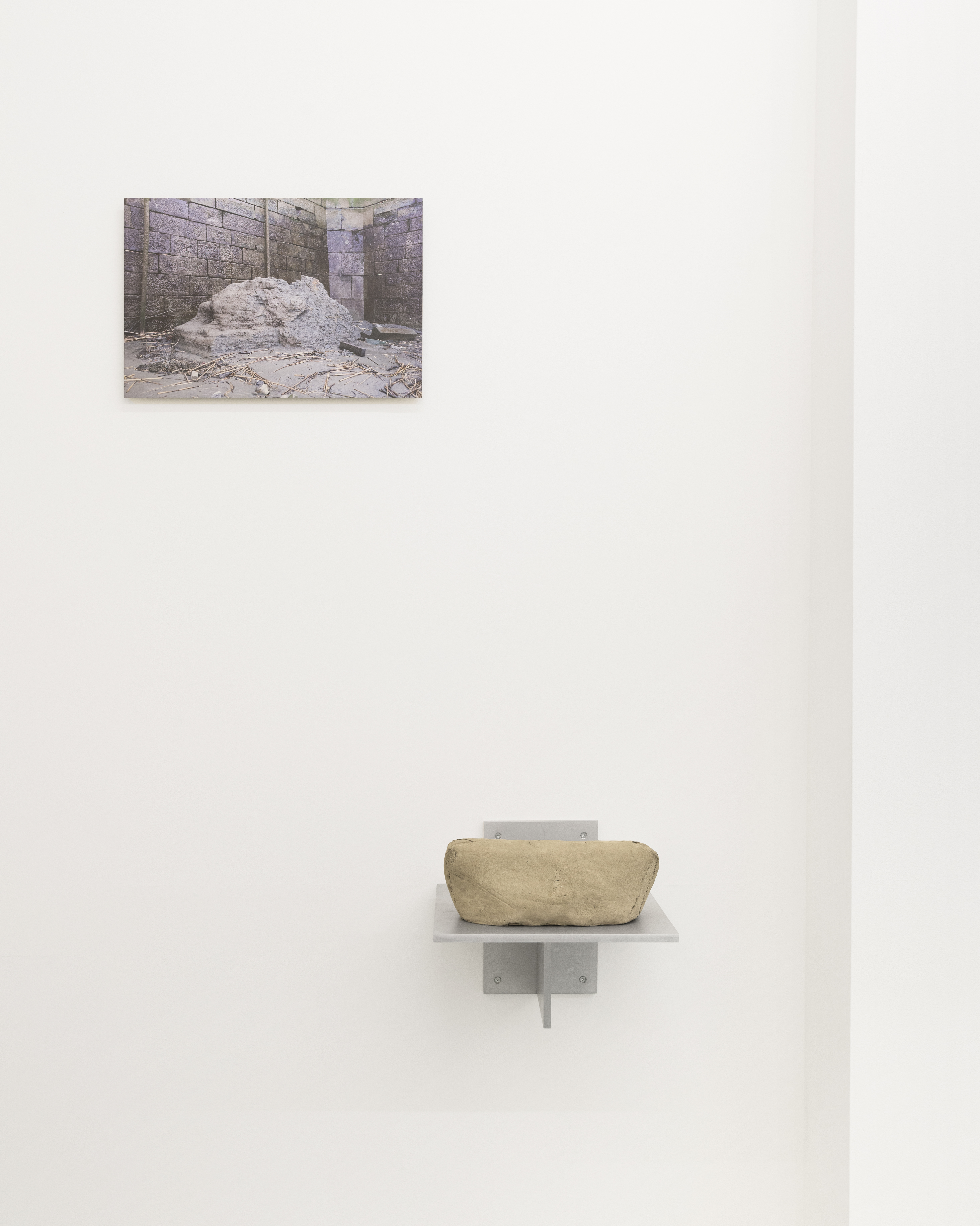 P|cture by Fabien Silvestre Suzor