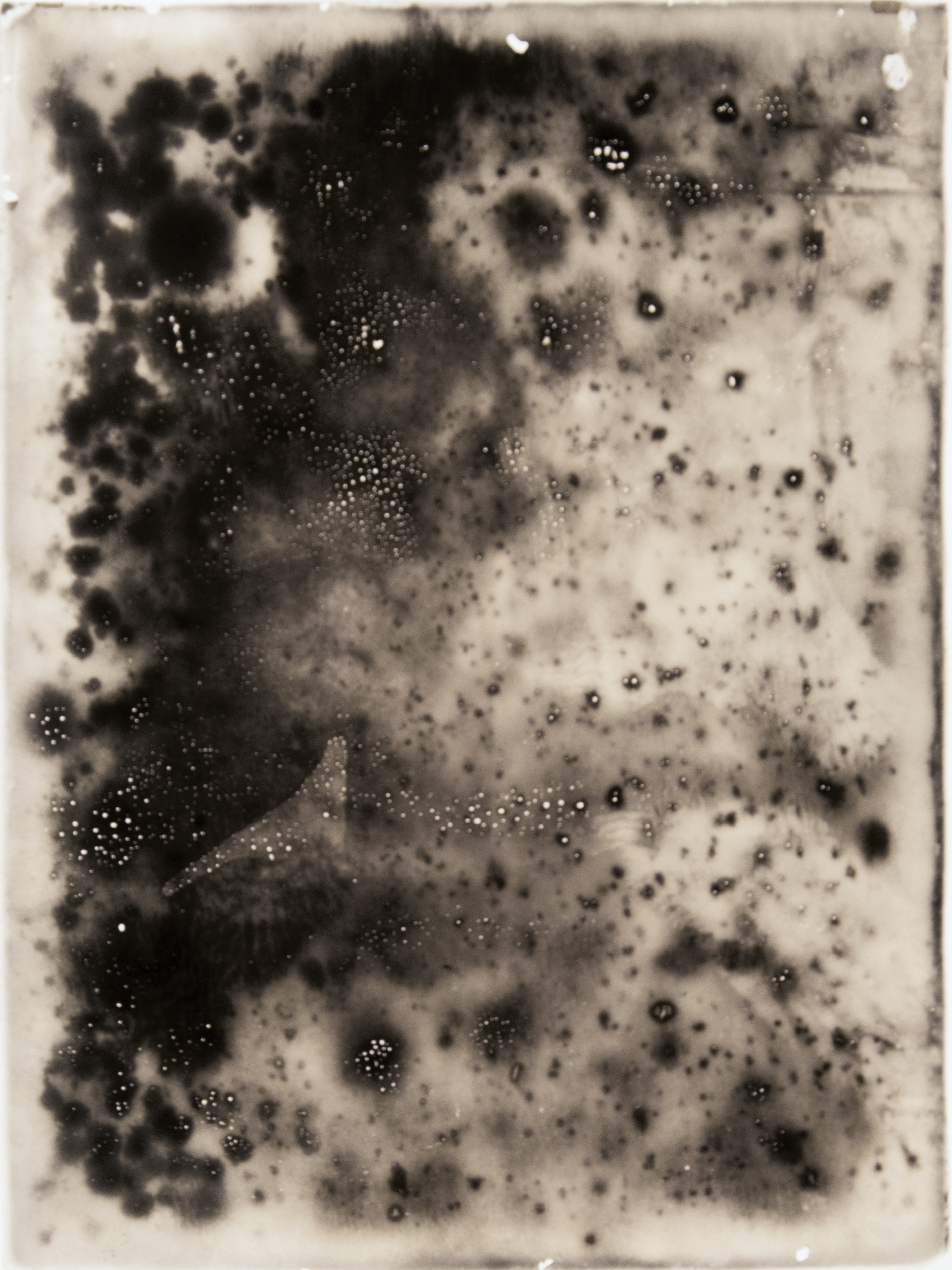 Untitled (Fitch's negative xylonite films #5), 2020, vintage photographic film, 17.9 x 23.8 cm