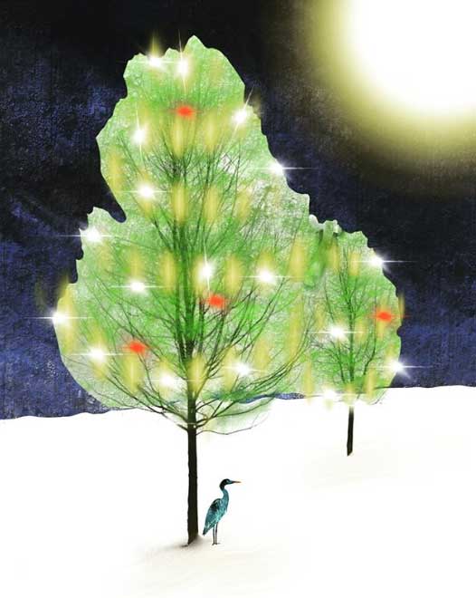 Ankie Luiken-Feldberg