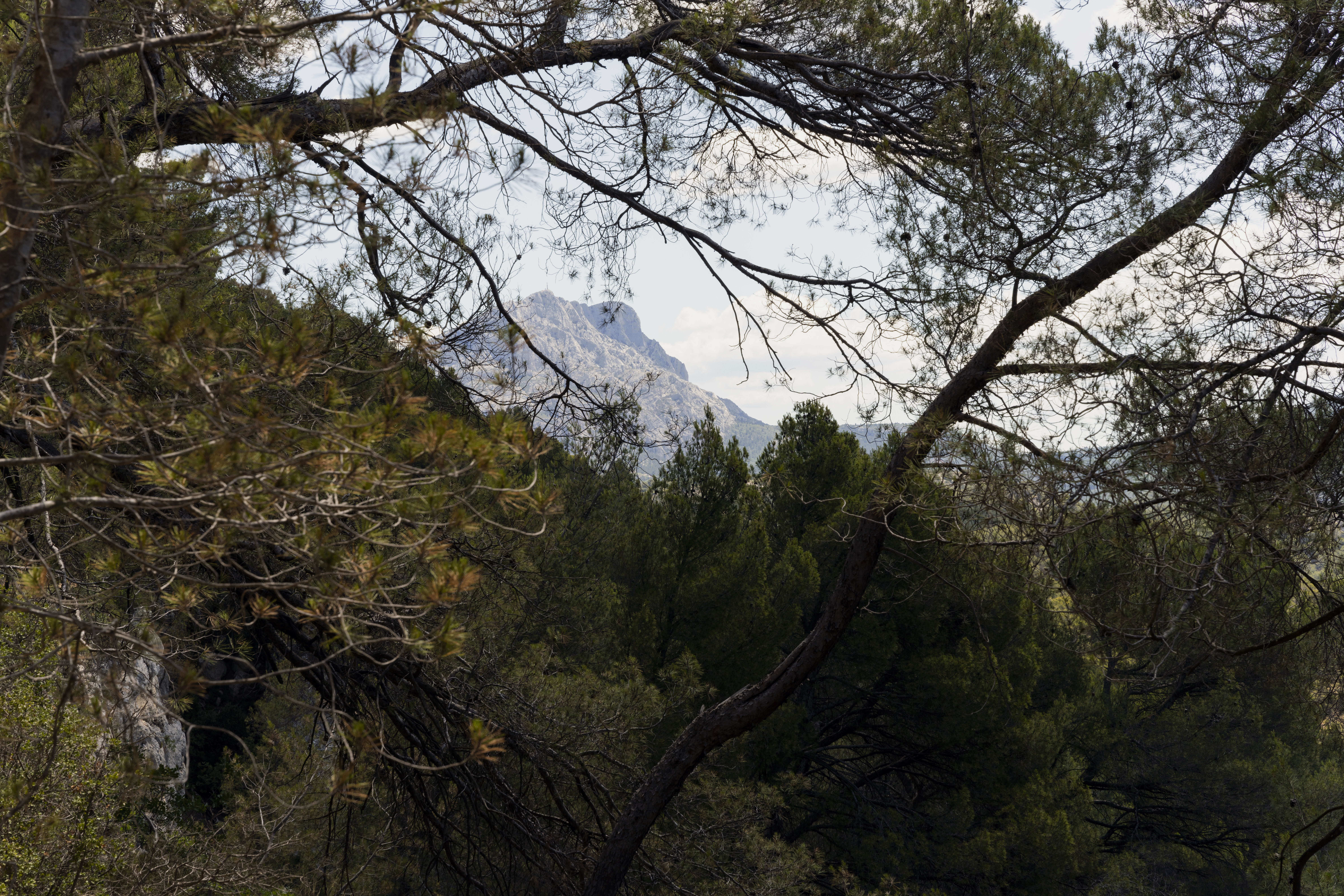 Photo Julien Lombardi
