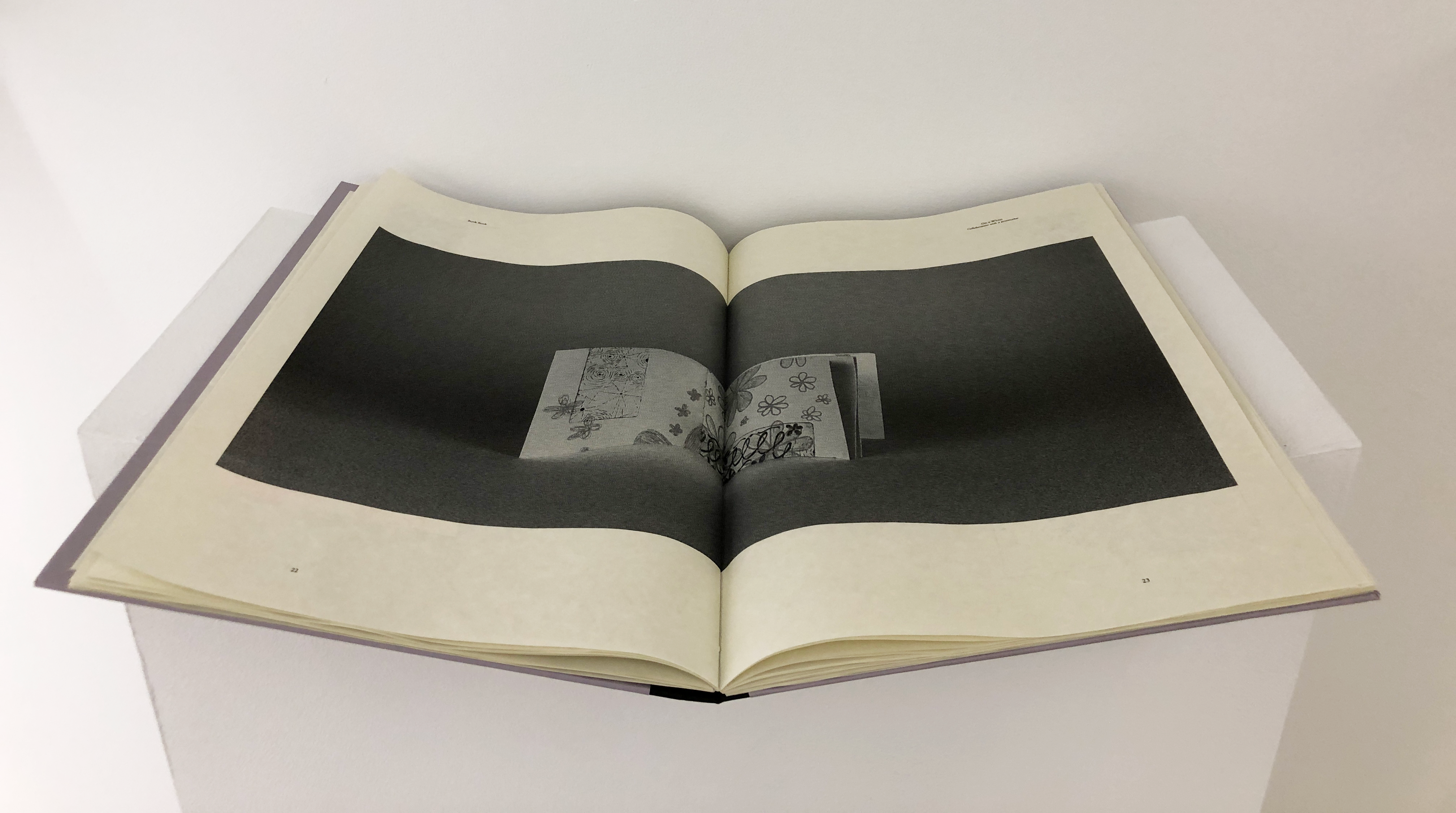 Book BookFrench Link, hardcover, inkjet, 2023