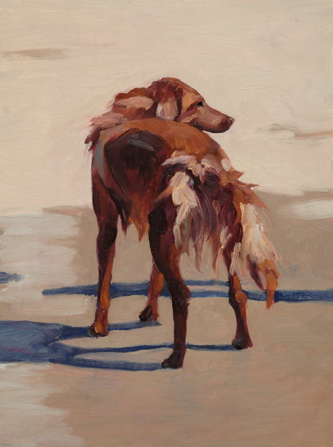Dog Study, oil on paper, 2008