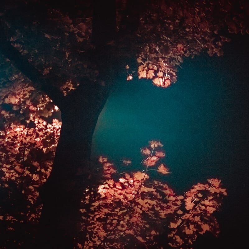 transience #31 with Lou Drago and Saphileaum