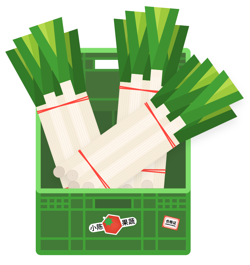 05. 信息可视化设计 | Infographic Design