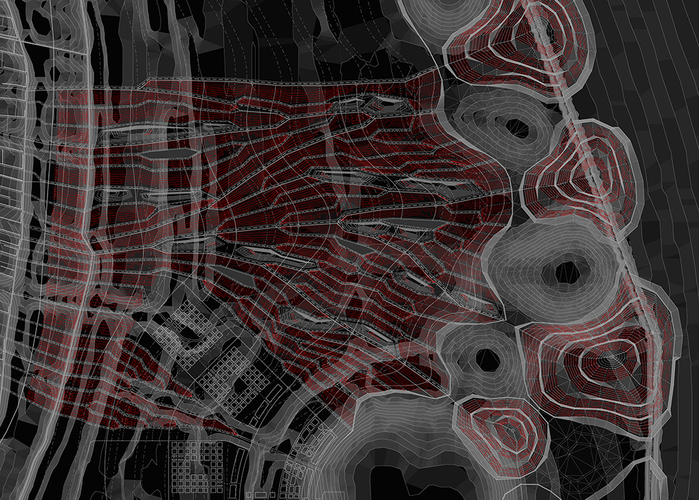 prototypes proliferation