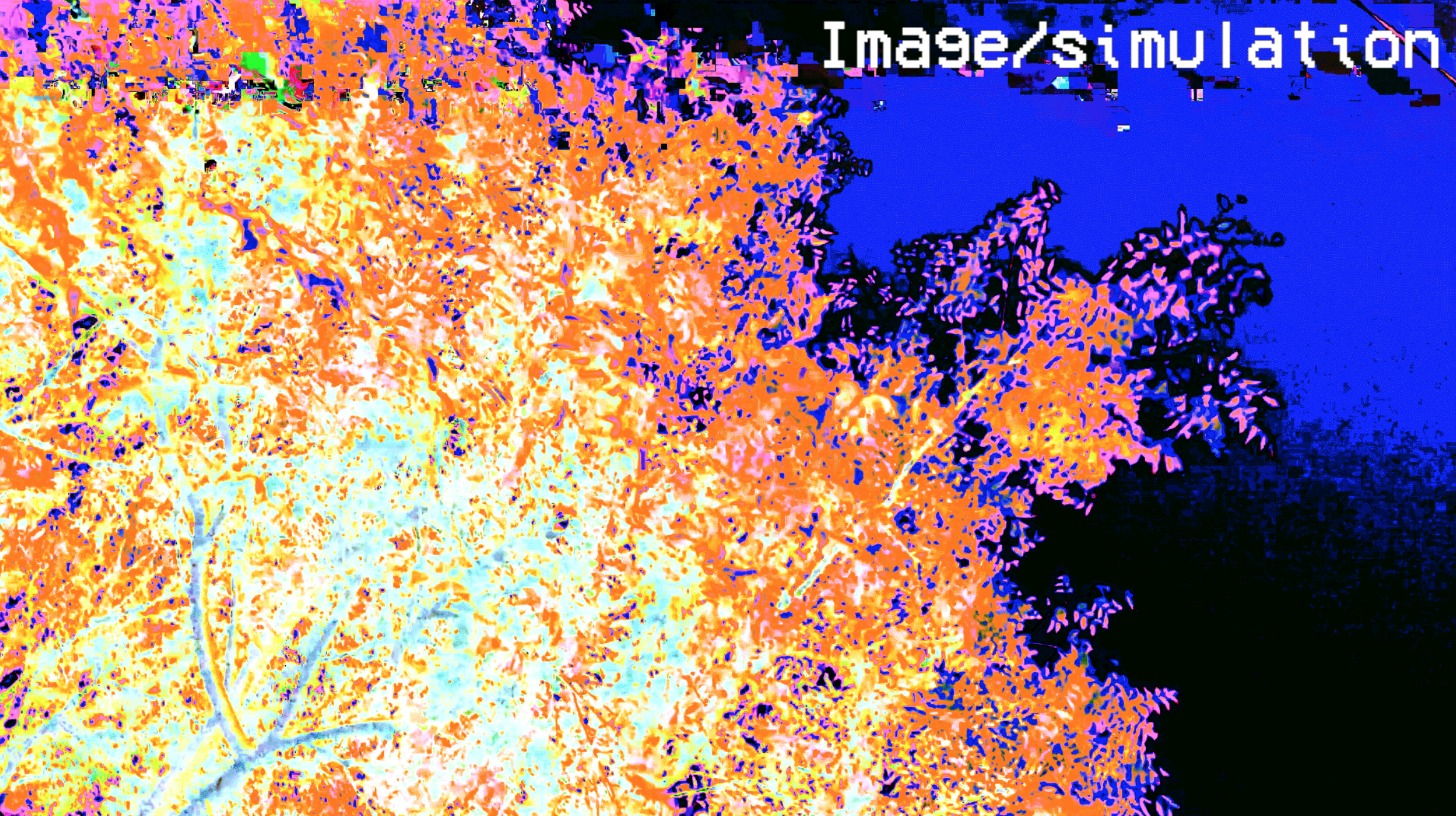 Detail: ‘Imagesimulation.gif’