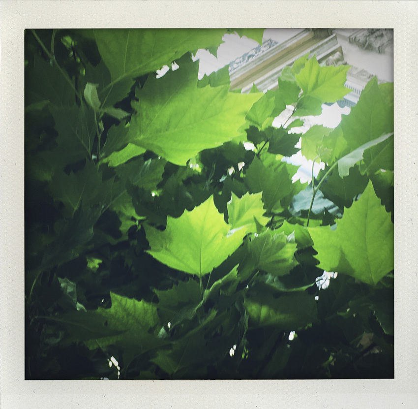 22 Mai 2020 Sous les platanes