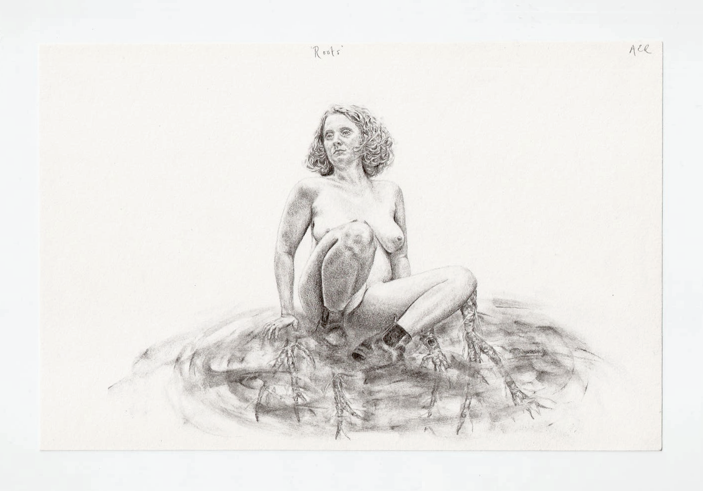 &lsquo;Roots&rsquo;, graphite on paper, 14 x 21 cm. Based on scans of dandelion plant roots that were harvested to turn into a powerful and healing tincture.