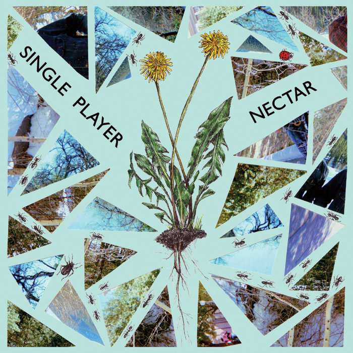 Nectar/Single Player Split