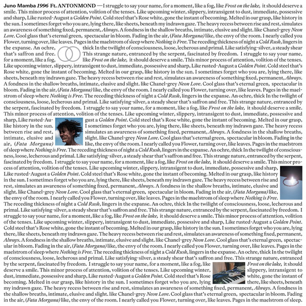 Juno Mamba Feat. ANTONMOND - 1996 - Vocal Production