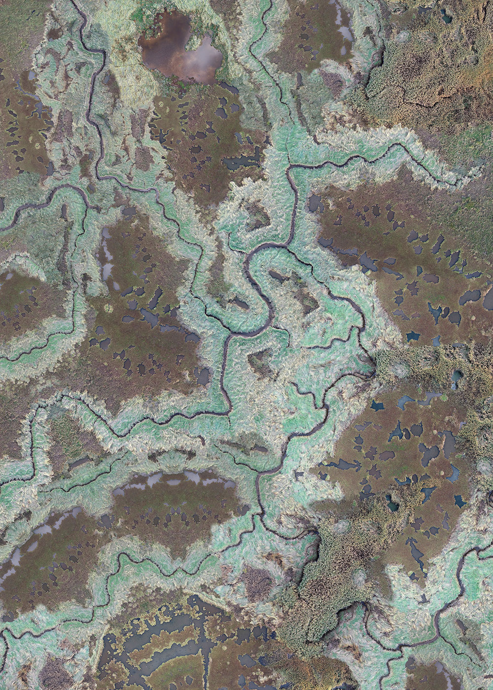 S-bend, digital print, 112 x 80 cm