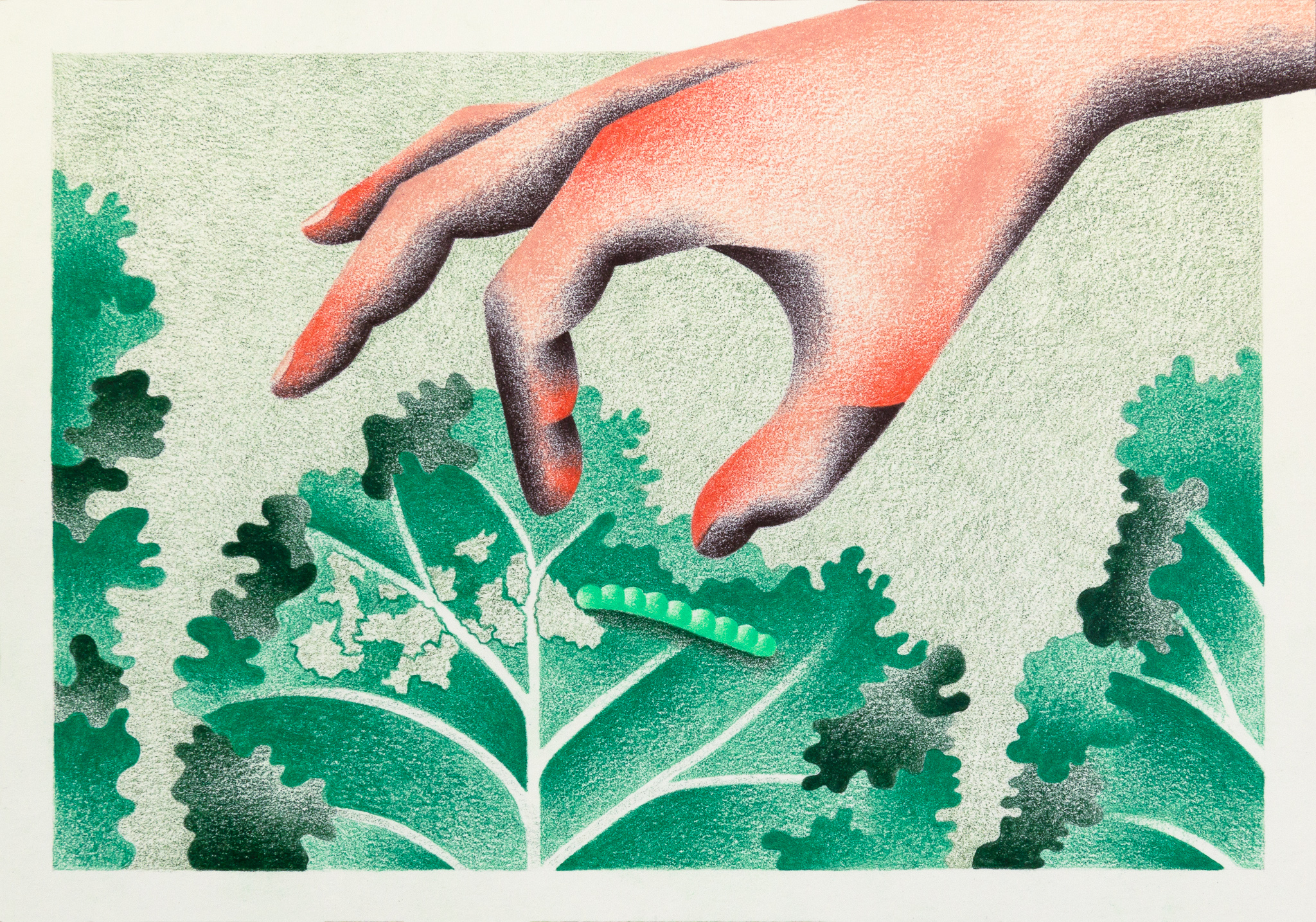 The Enemy, 10 &times; 7"