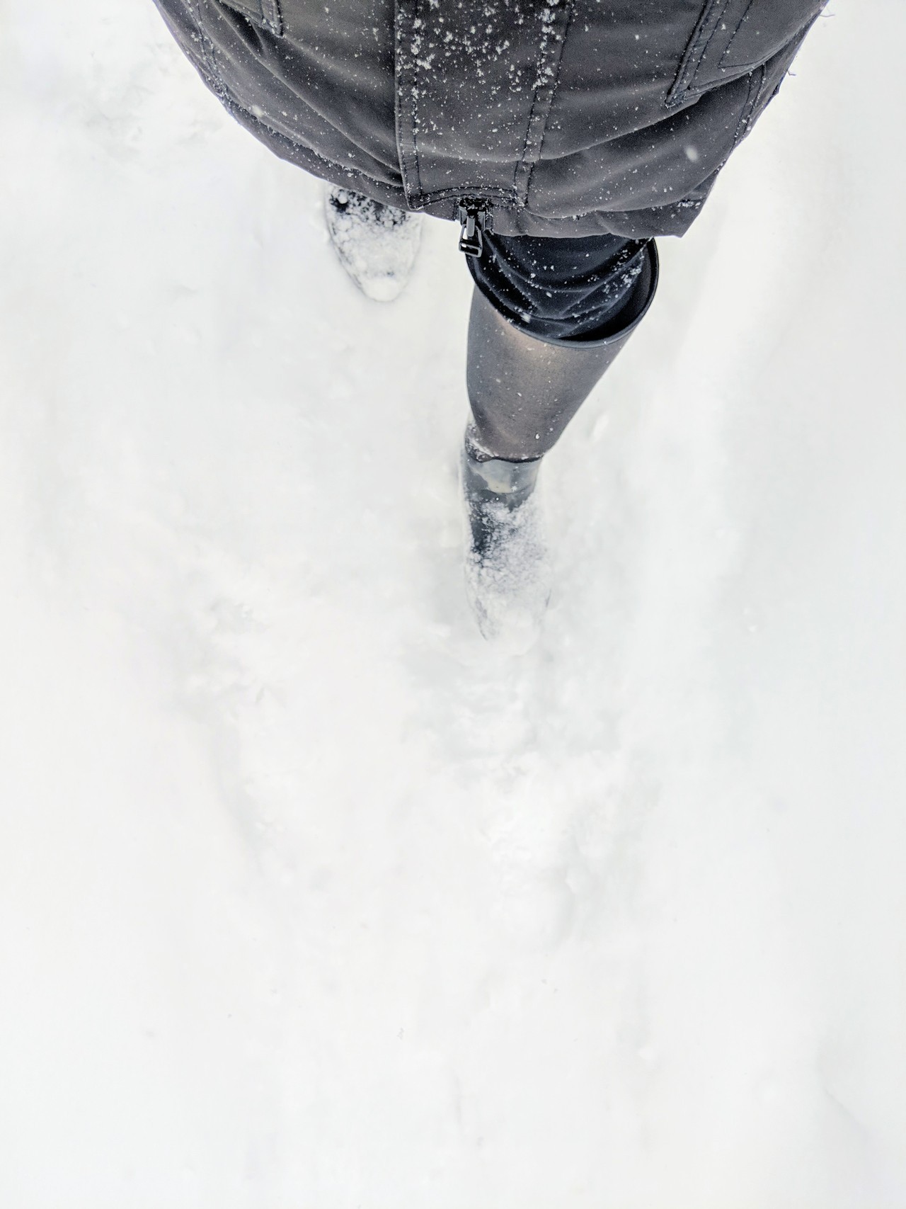 Feb 27, 2019: Somewhere Toronto