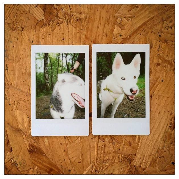 Lasma Poisa AIR  2017