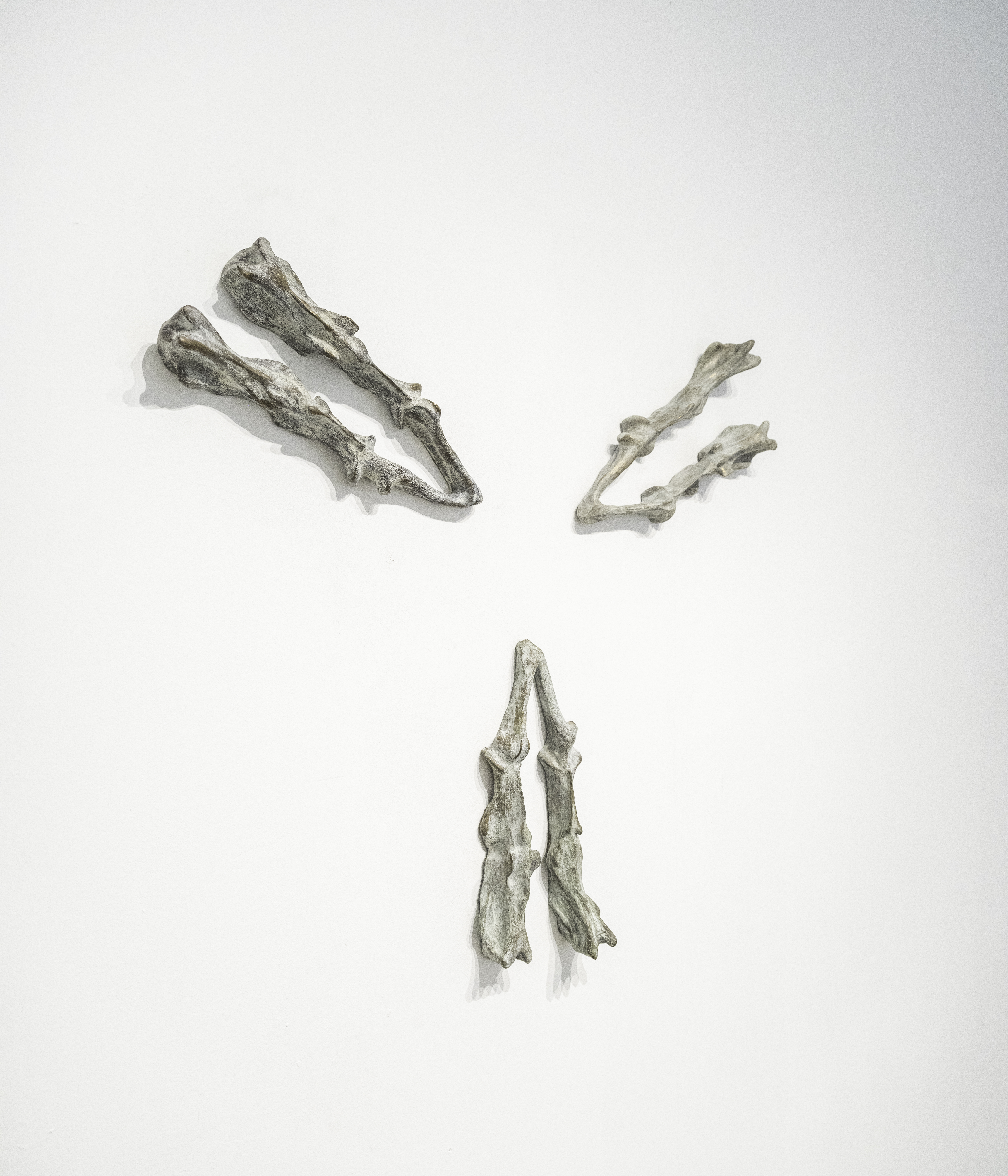 Dowsing Bones, no. 1-3, Orbis Tertius 2024