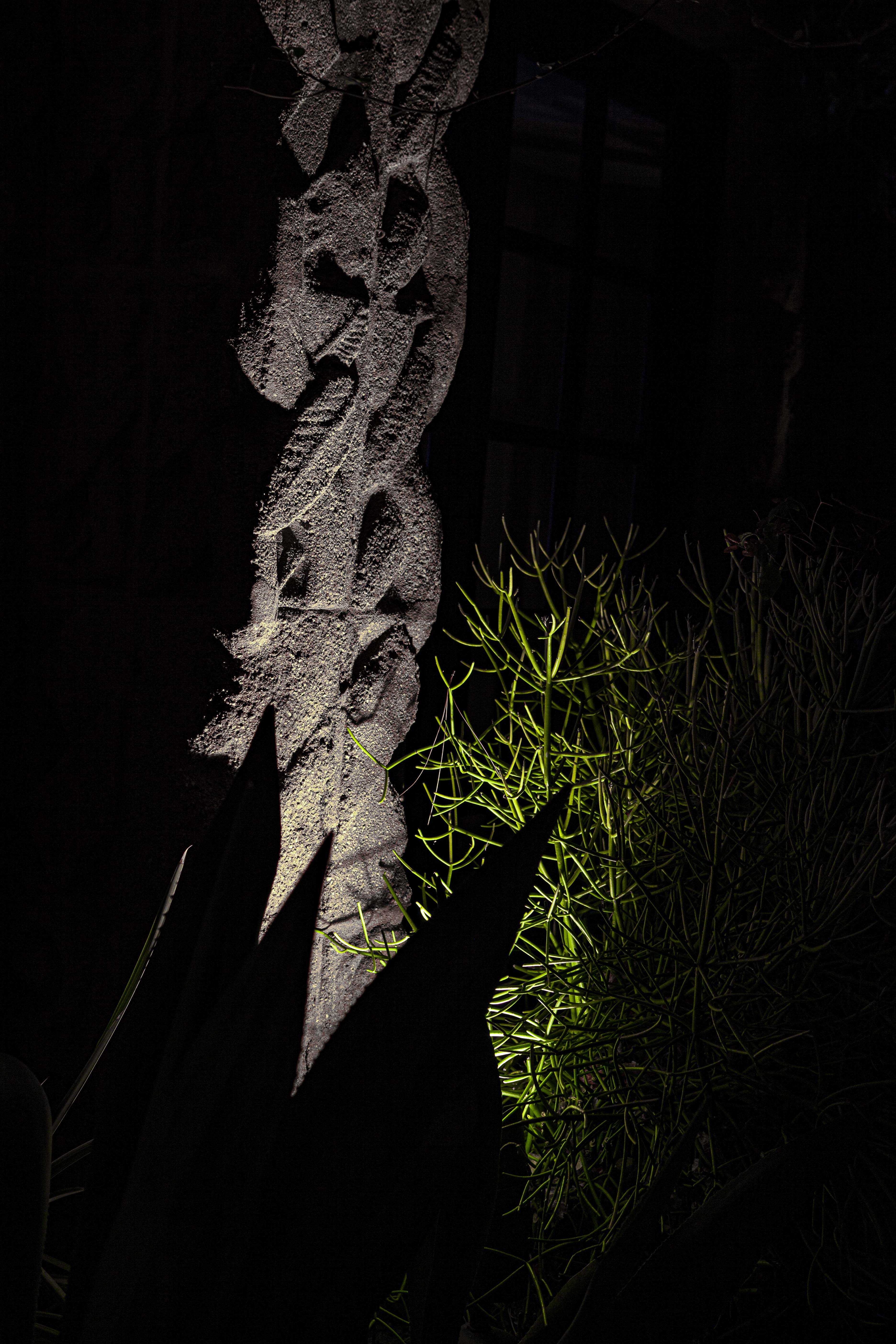 PHOTOGRAPHY BY RAF STUDIO of SOWDEN HOUSE BLACK DALIA LOS ANGELES