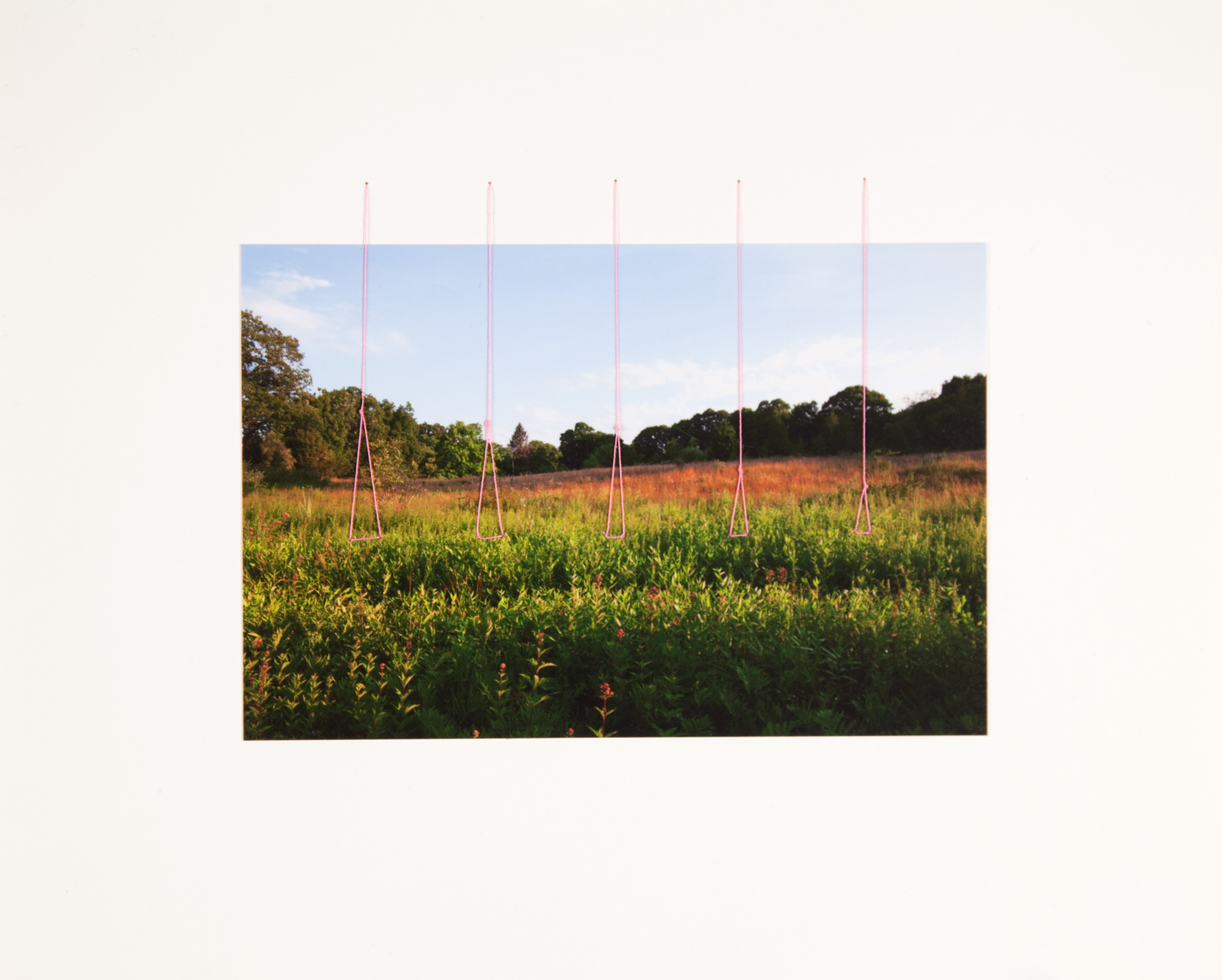 Field Edging #14, East Haddam, CT, 2014.