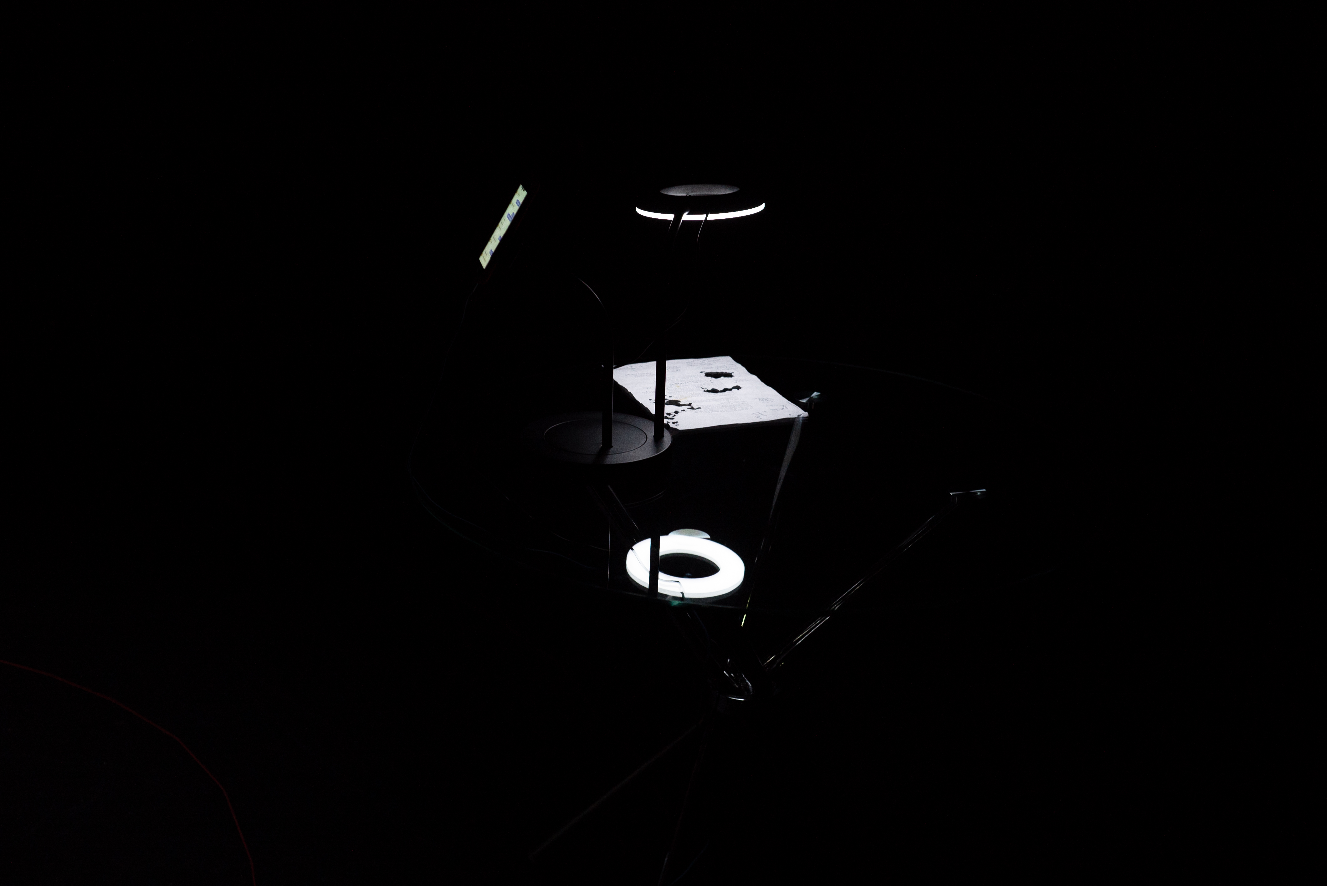 All about snail-love and forgetting to leave the house, Installation View (2023)