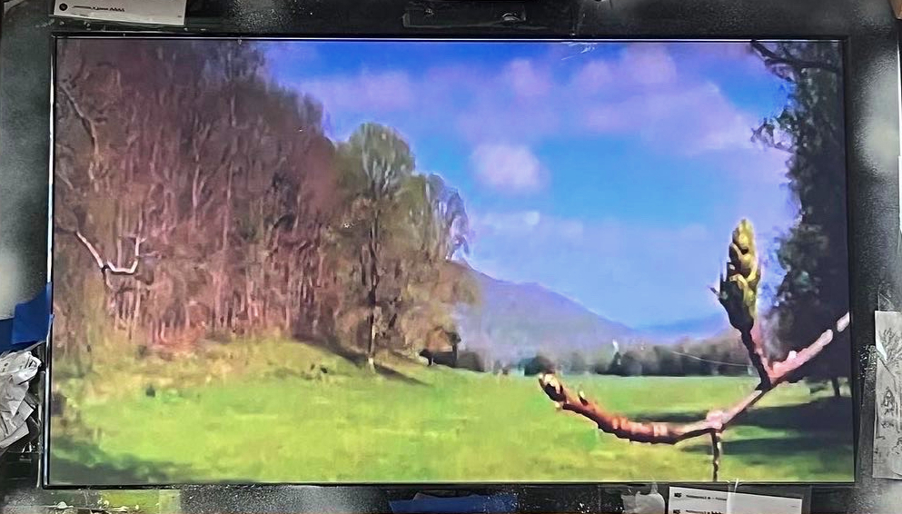 Klein, My Own Maurice [detail], 2020-22, digital video, 4 min. 13 sec., dimensions variable.