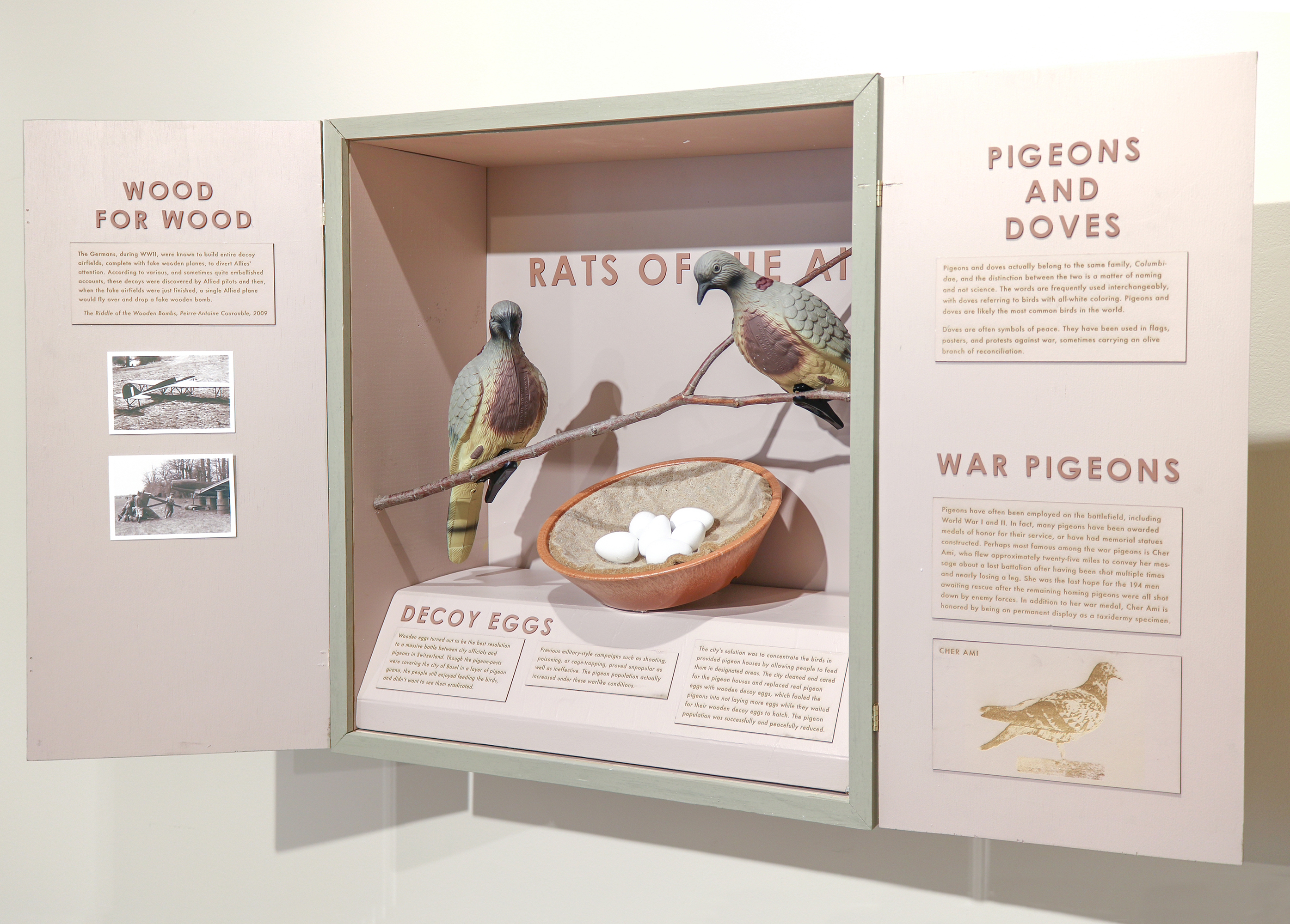 "Traveling diorama box: RATS OF THE AIR," Wood, pigeon decoys, wooden pigeon eggs, plastic pigeon nest, nest liner, inkjet prints of WWII photographs, 2018
