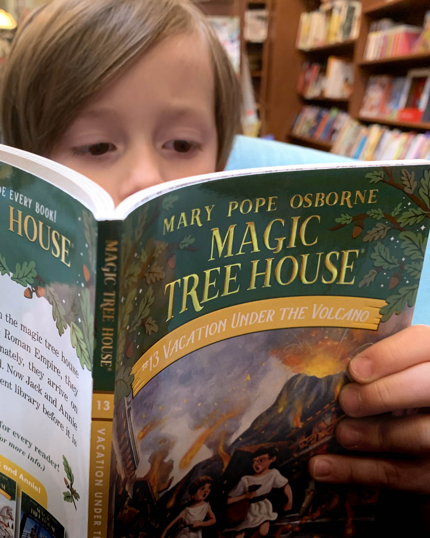 magic tree house book 15