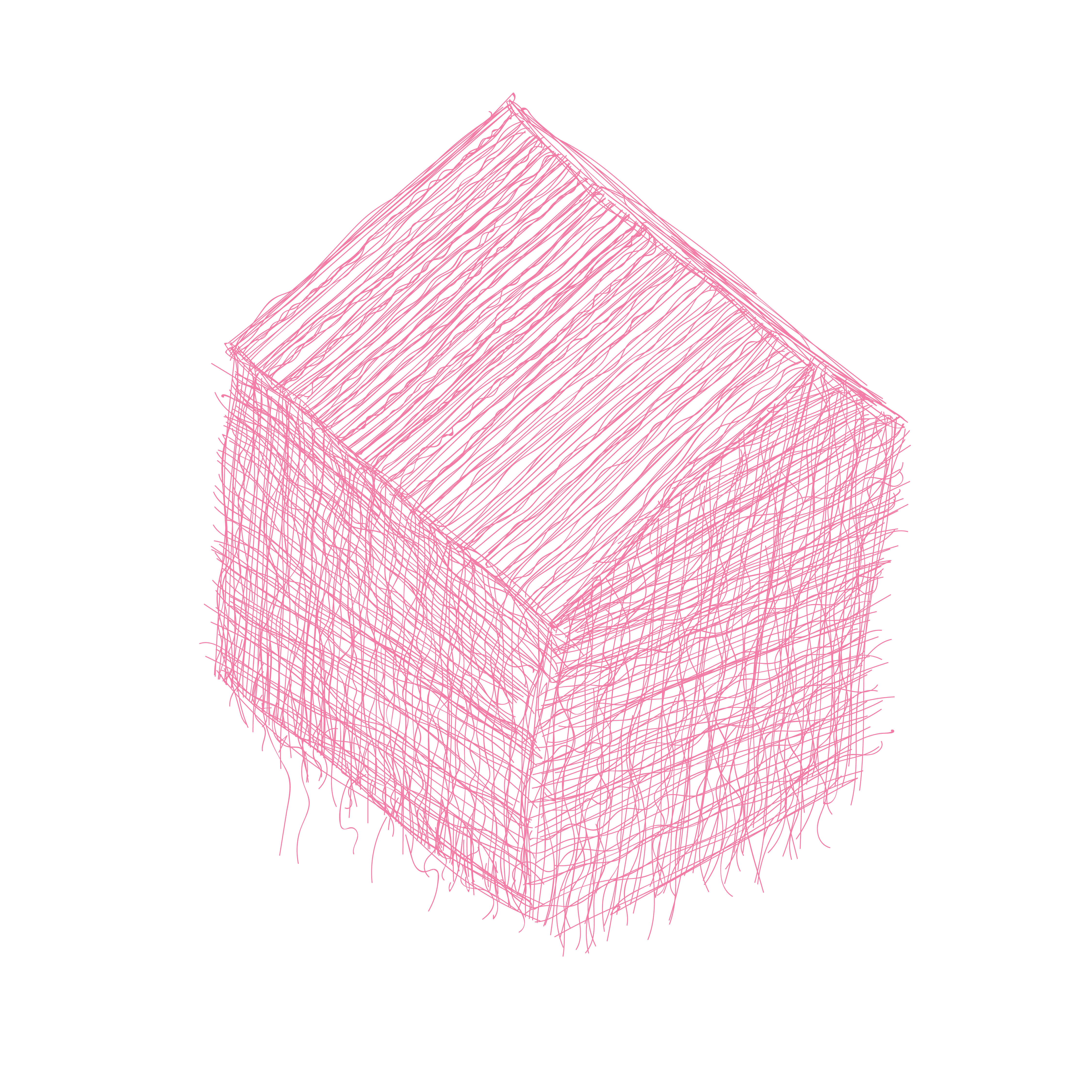 Urban Ecologies: Rhythms of the City