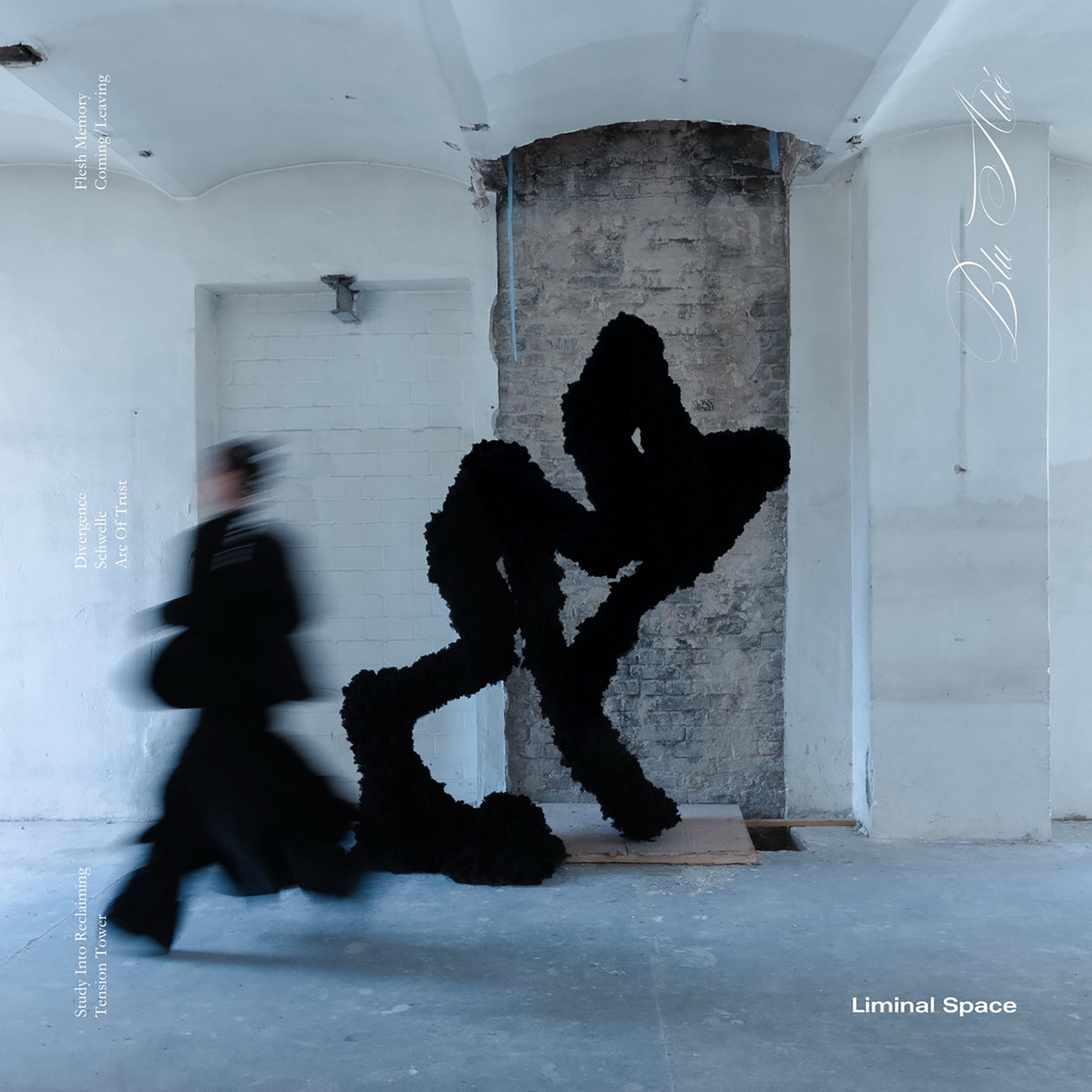 Blu_Aloe, Liminal Space, mastered by Tobias Freund at Non Standard Studios