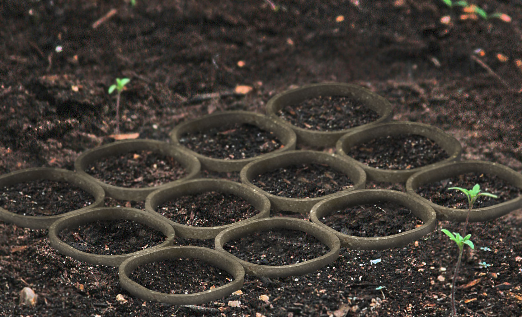Biodegradable Planters for Seed Starting