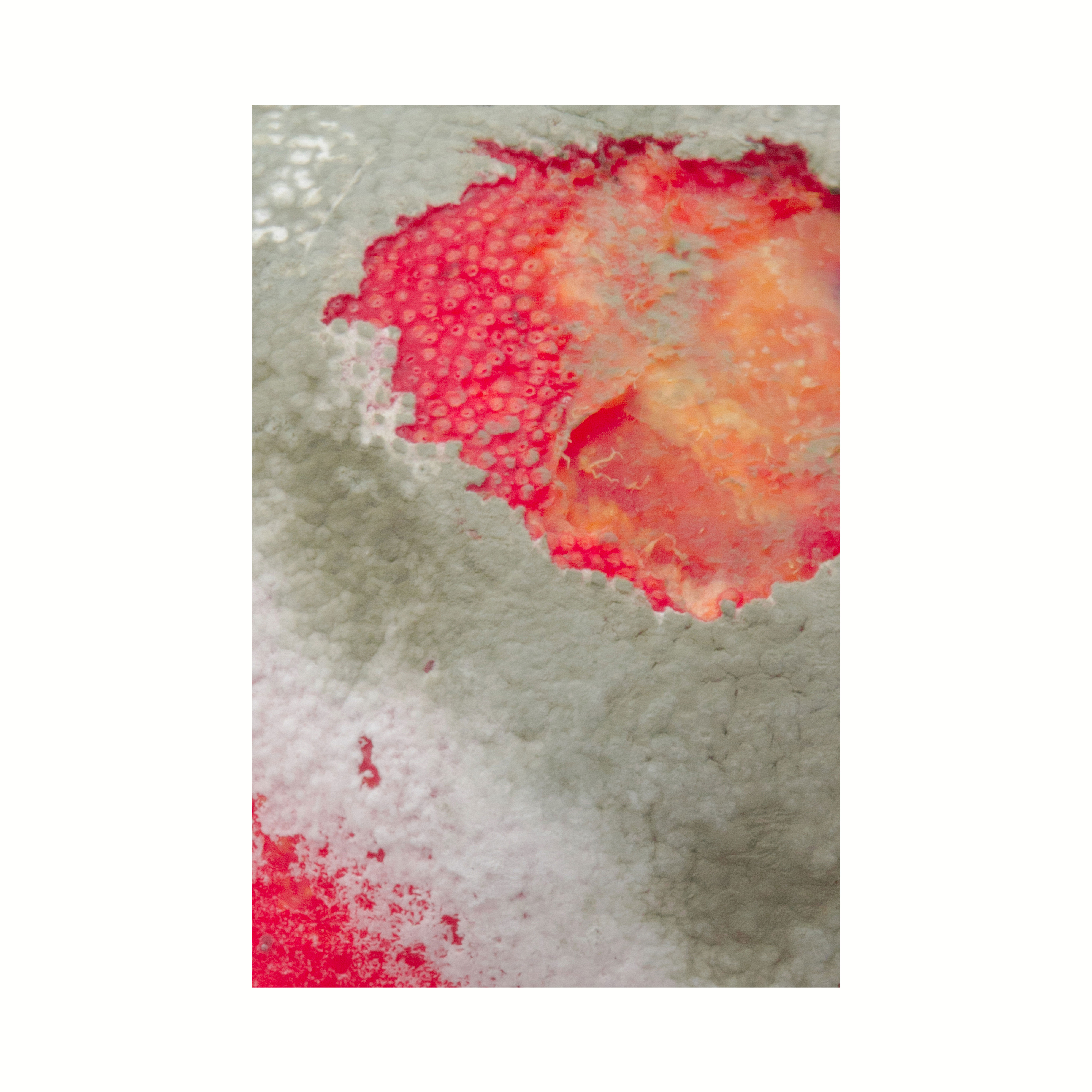 Guaste-A whole in the planet