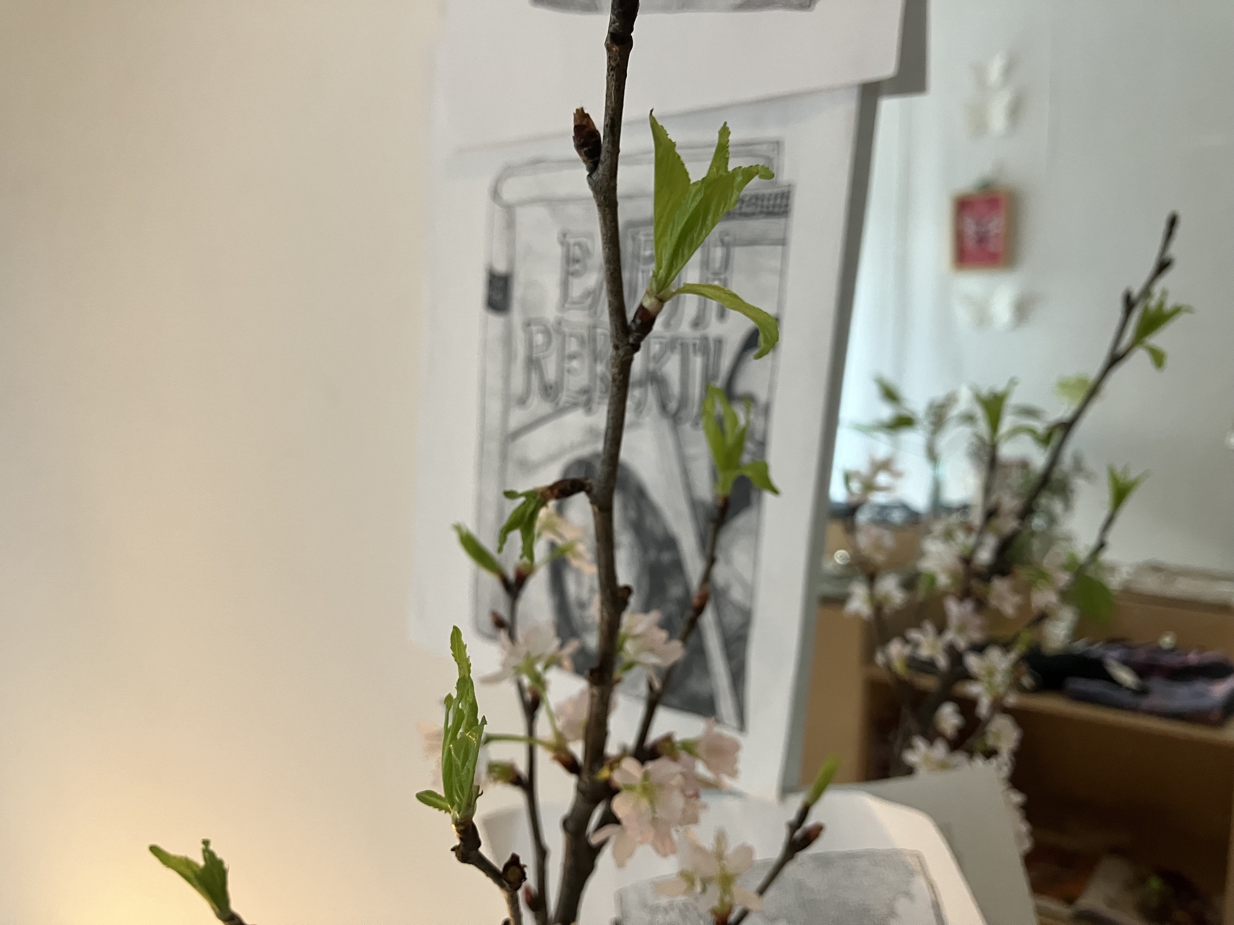 寒さと春めきのシンフォニー - FEBRUARY 7, 2025