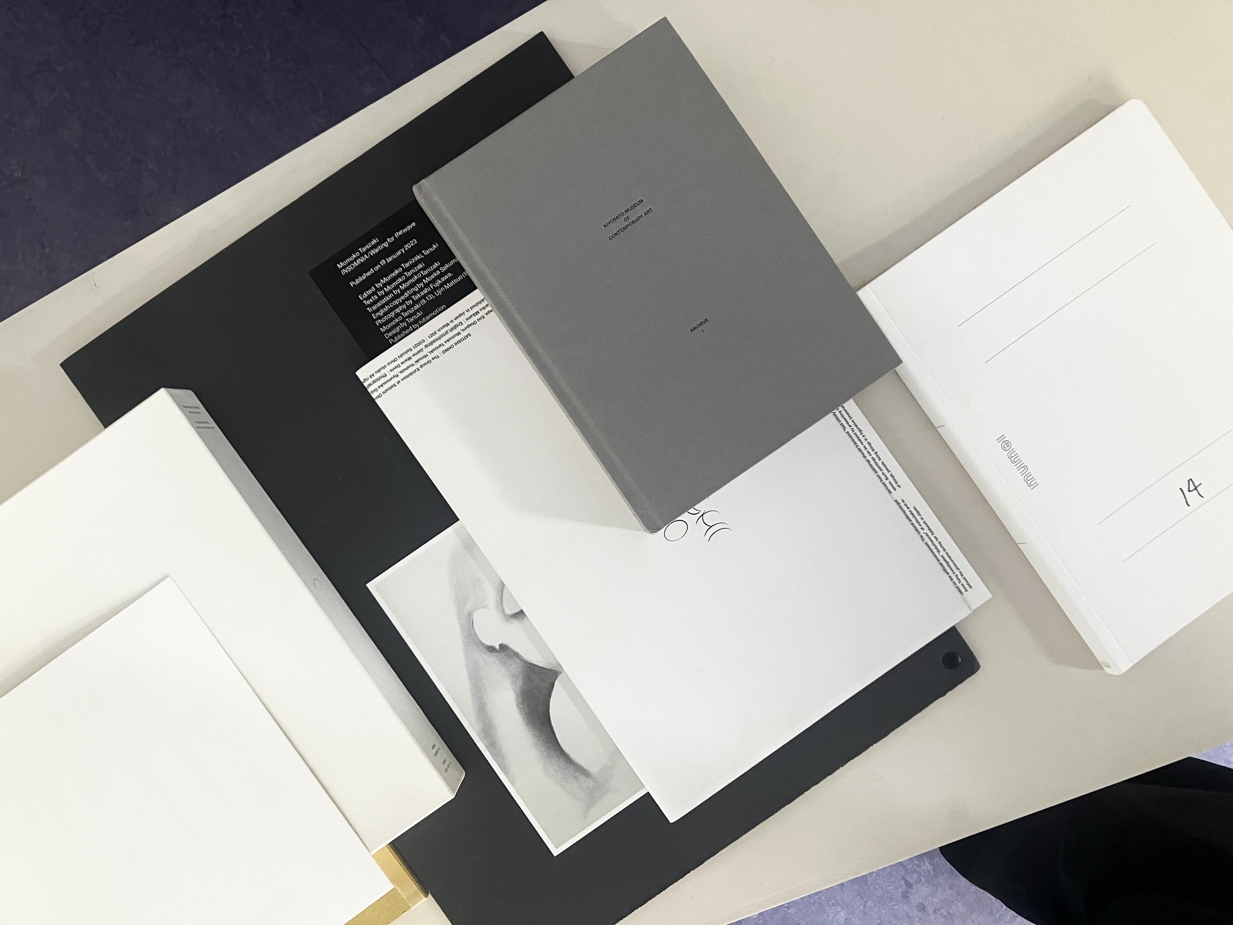 Photos: Tanuki at House of Books