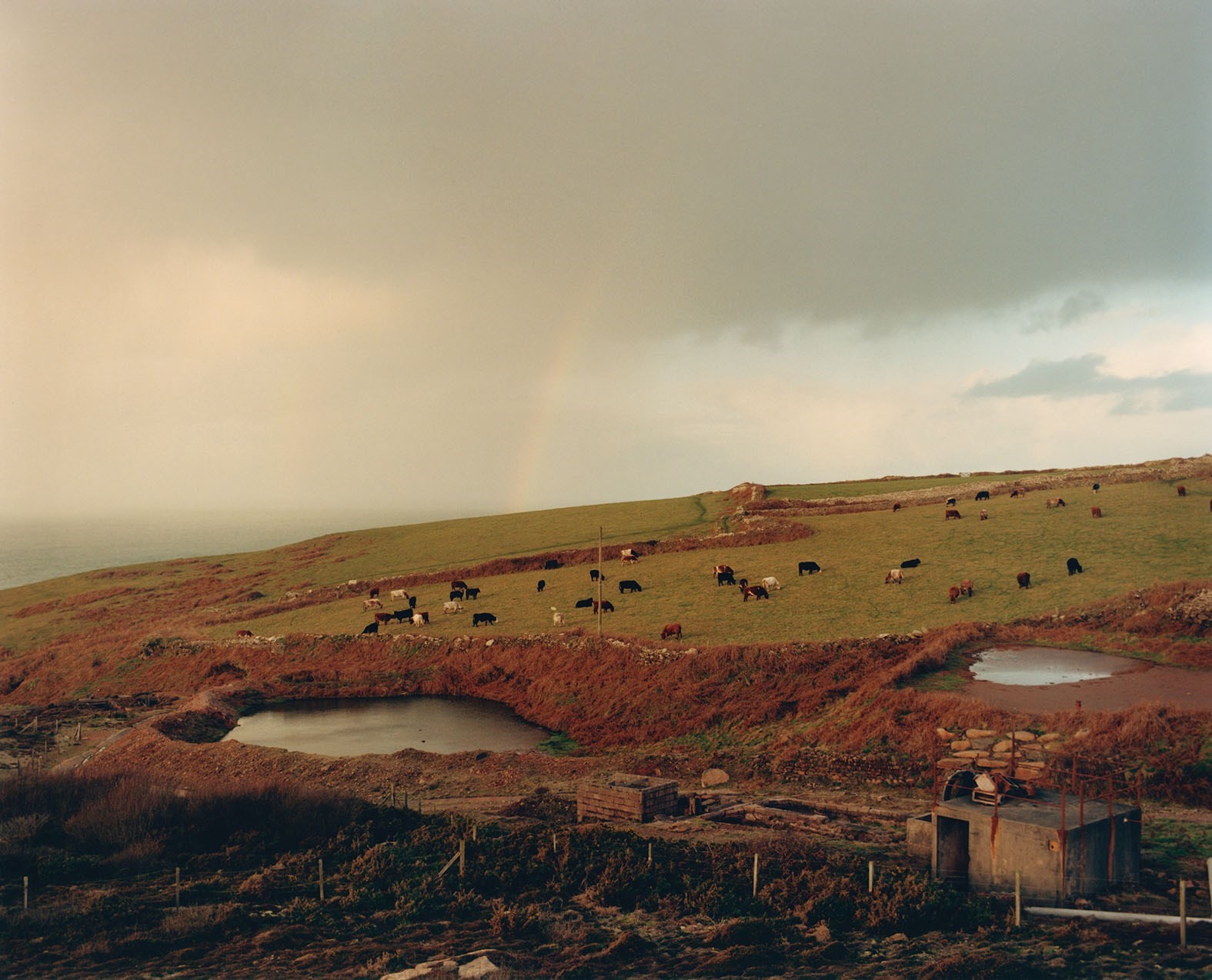 Jamie Hawkesworth The British Isles　美品 THE BRITISH ISLES by Jamie Hawkesworth [SPECIAL EDITION