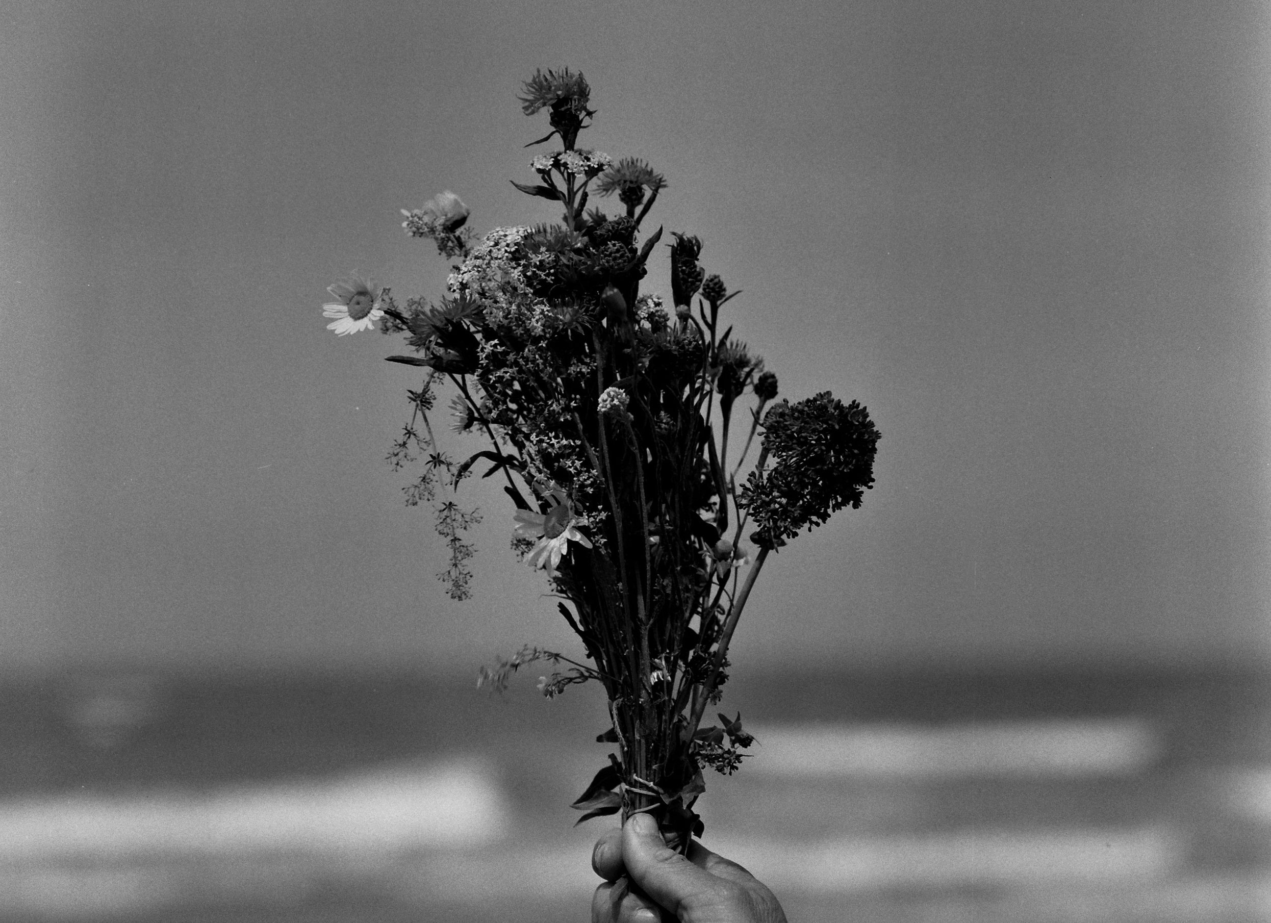 1 year. You breathe in me.