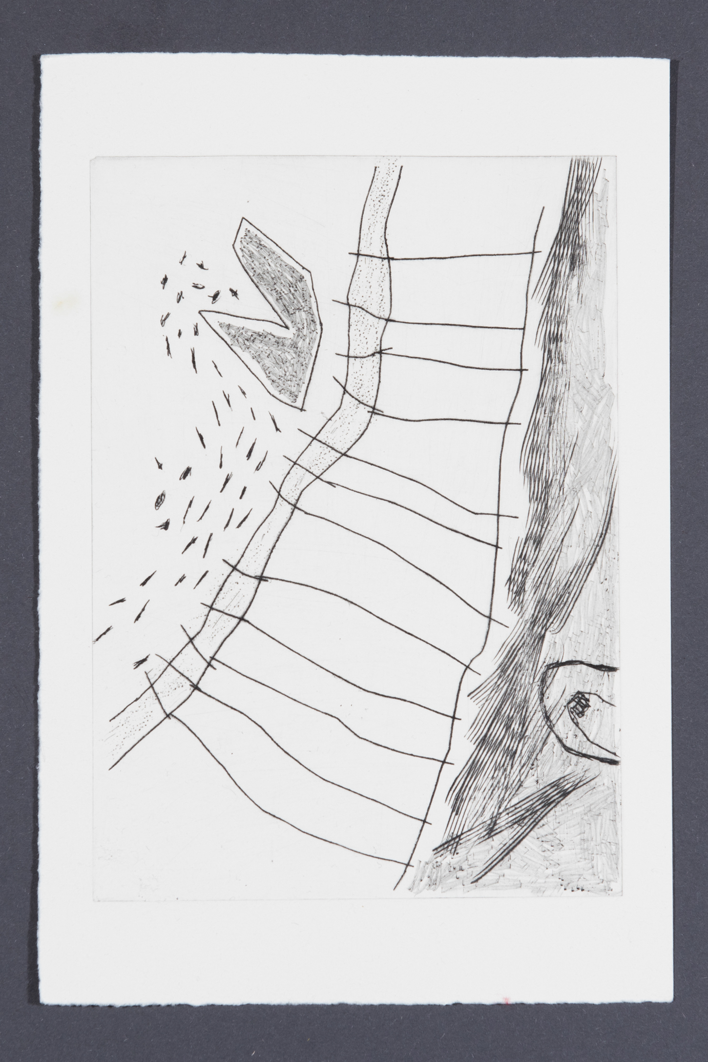 Lines and Shapes (2017), Drypoint on acrylic glass, each 15 x 21cm