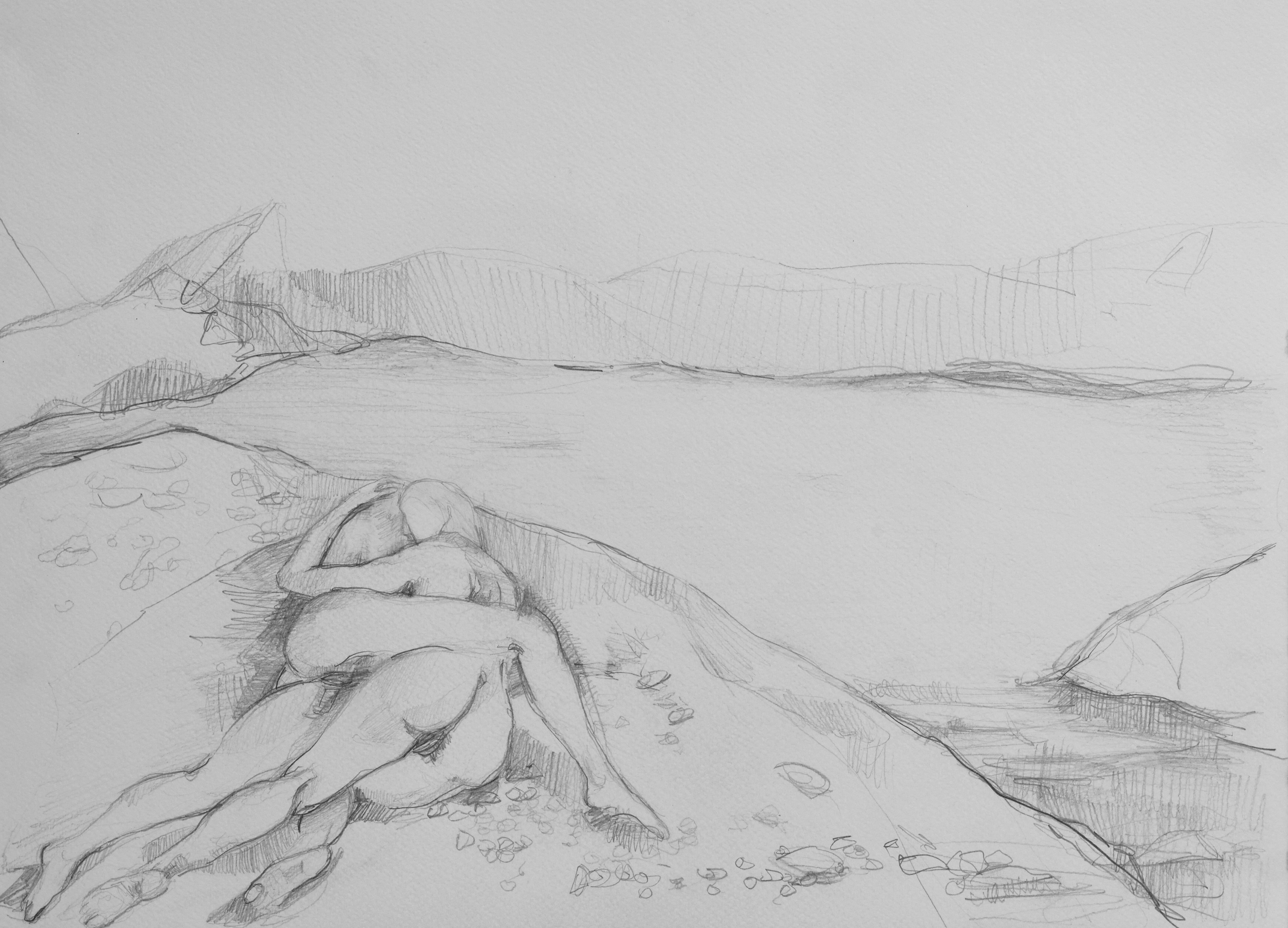 'The Lands' series (VI) 29x42cm Graphite on Textured Paper 2020