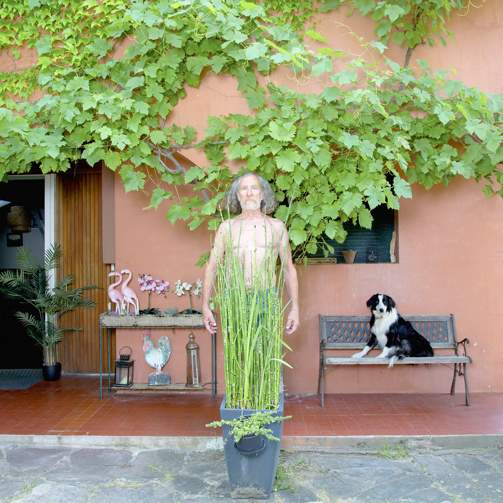 Picha, doctor & surf addict