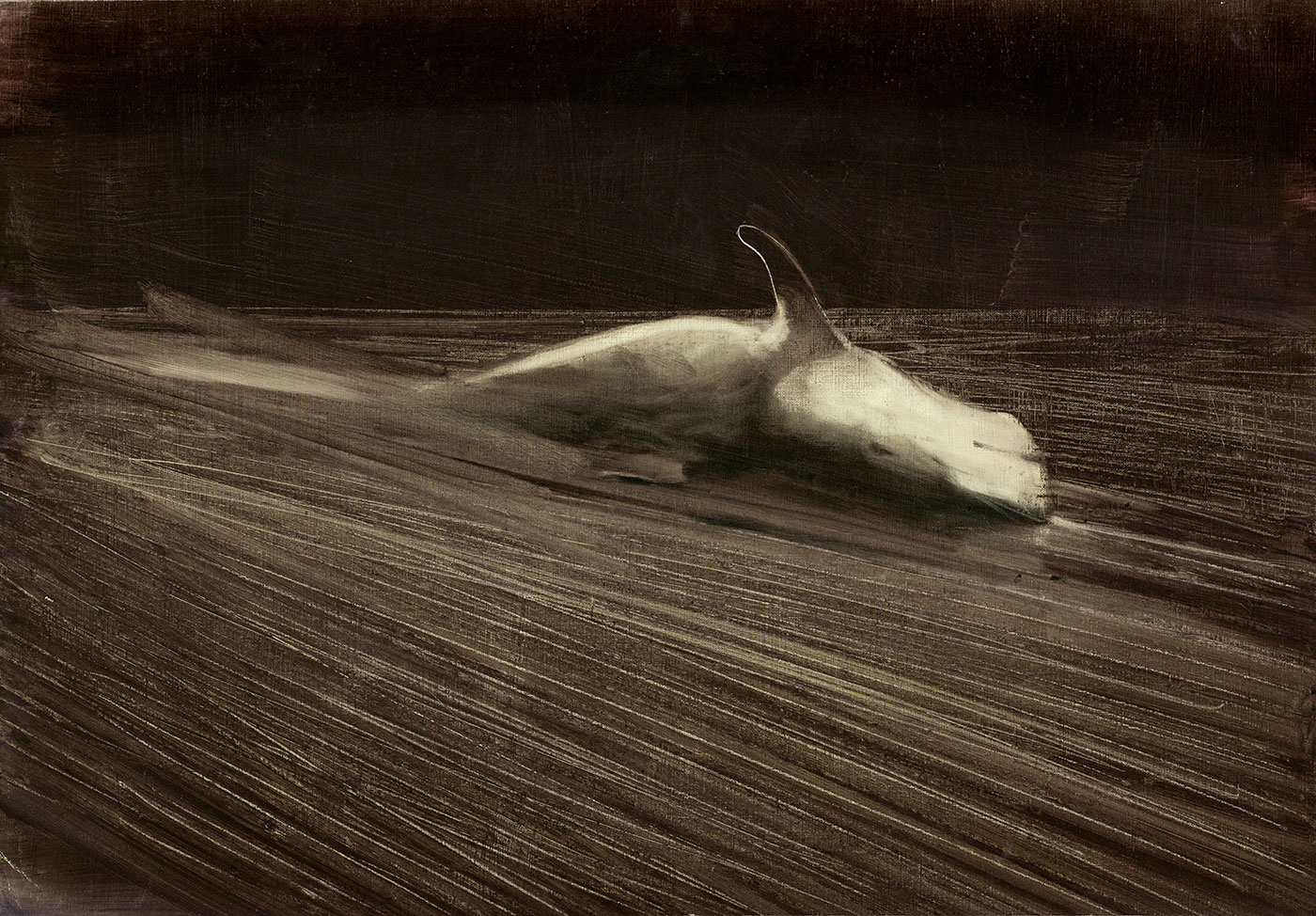 Emission # 2 Oil on paper 50x60 cm 2010, Photographed by Shay Halevi