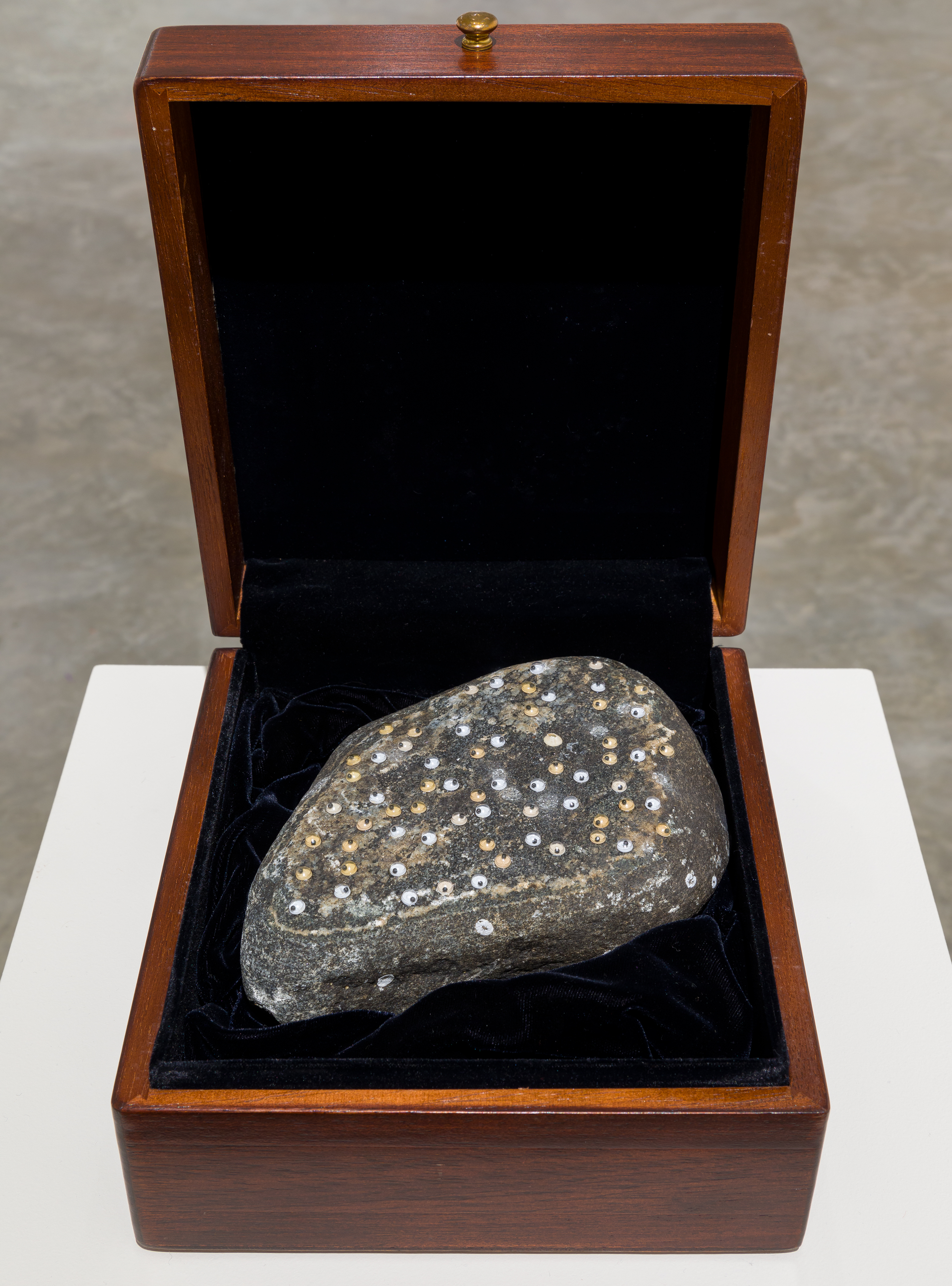 Nina Katchadourian, "Extra Large Barnacled Rock," 2002, Rock with barnacles and googly eyes in wood box, unique. Rock: 7 x 5 inches, Box: 8 1/4 x 7 3/4 x 4 1/4 inches. 