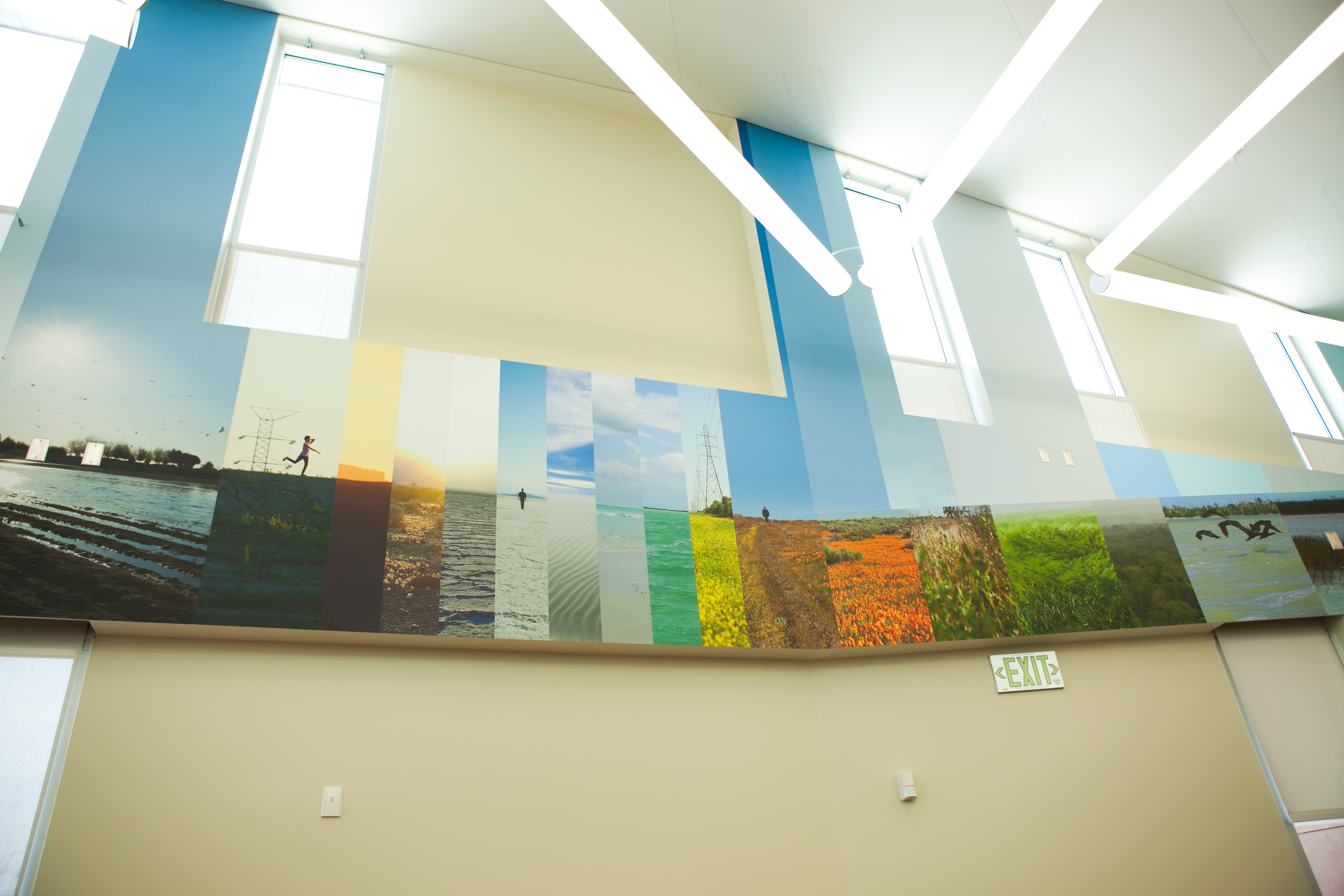 CircumSolar, Migration 2, 2013. Public art at the Pico Rivera Public Library, commissioned by the Los Angeles Arts Commission. Mural. Fire retardant canvas and ink. 132 ft. long x 25 ft. high. ~1,250 sq. ft. approximately.