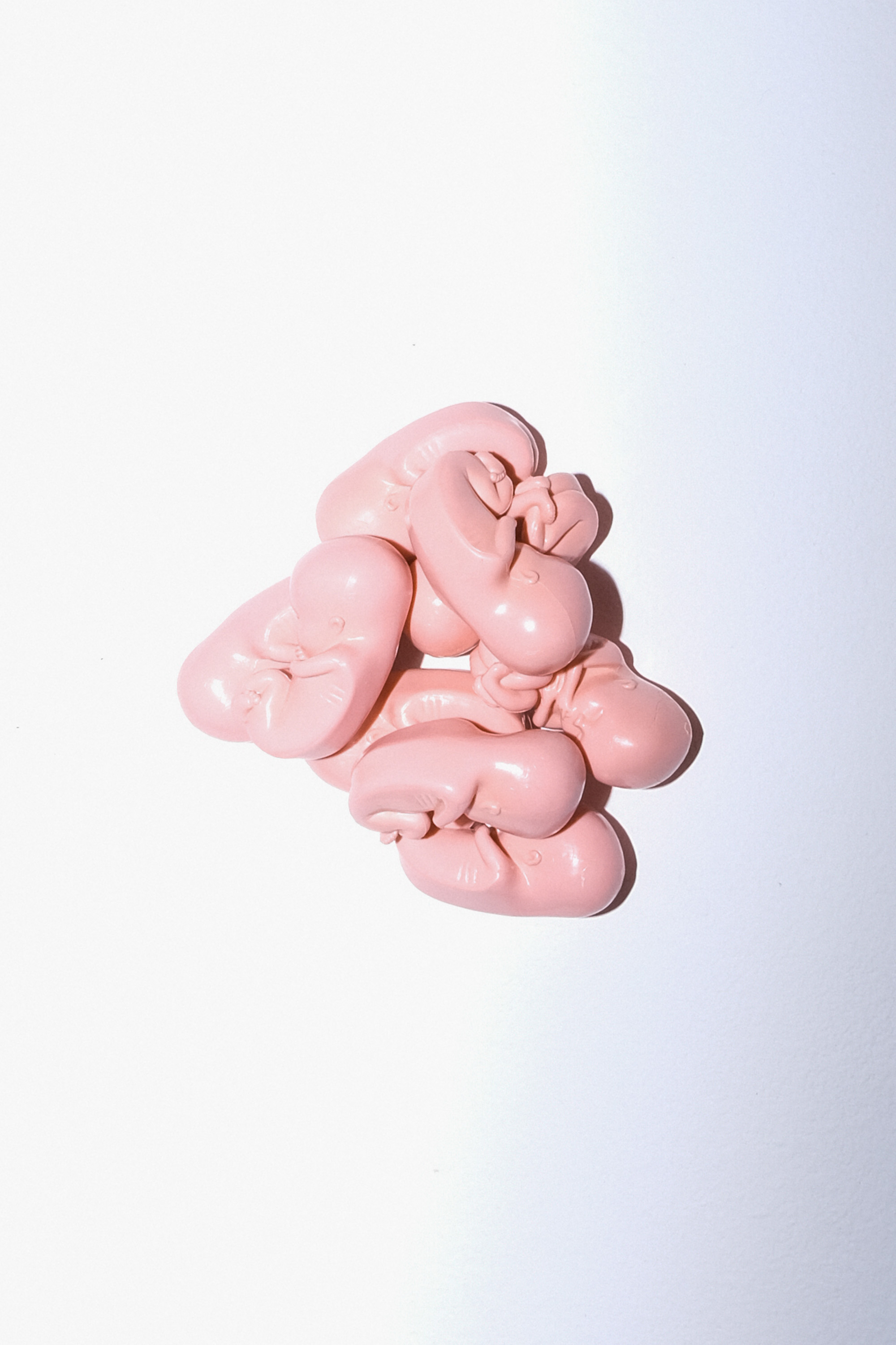 Aufnahmen von Alex Luermann