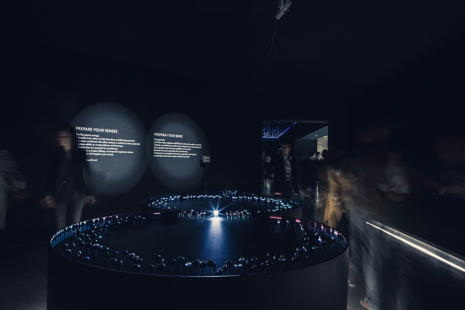 #Limitless Co-existence4/13