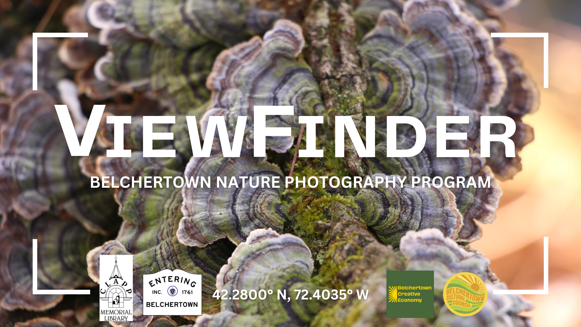 ViewFinder: Belchertown Nature Photography Program, April - July 2025