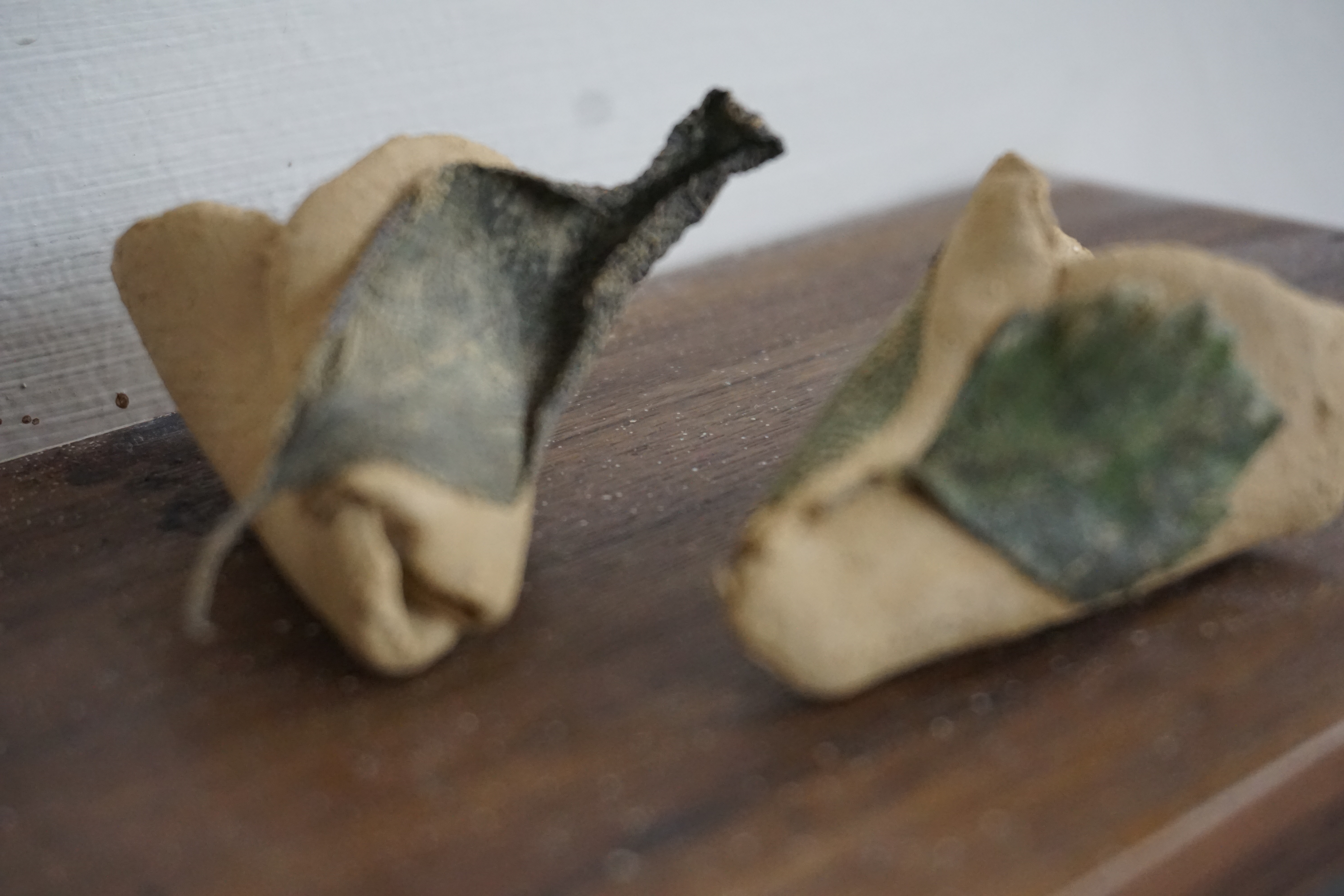 'Pixie Shoes - Perchance to be Pixie-Led', Devon clay, Sage leaves, 2023