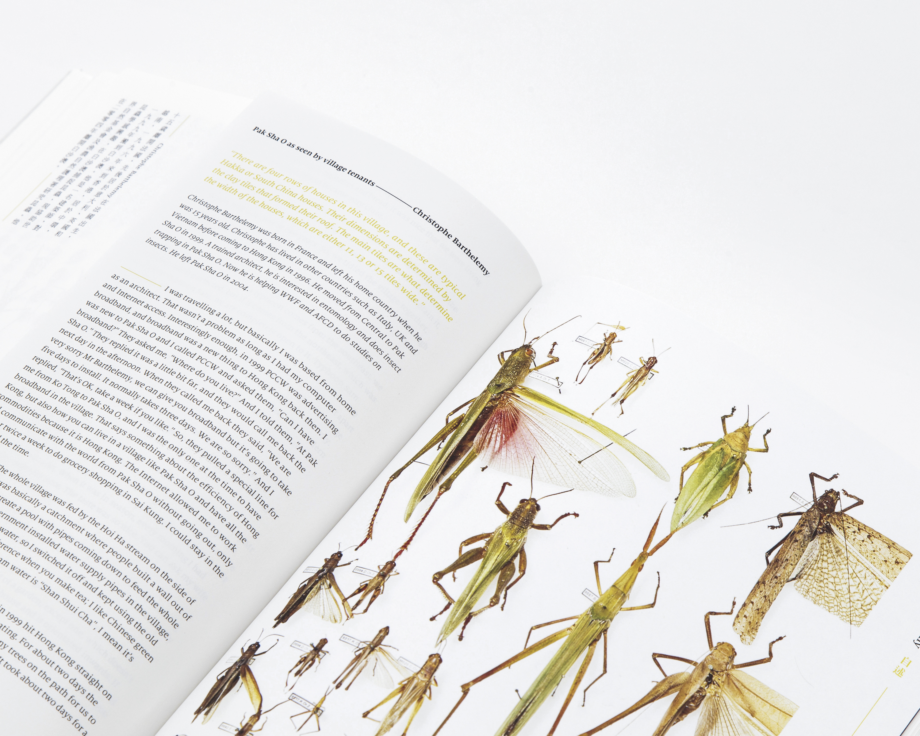 可以居——白沙澳鄉 (TC) A Living Space – The Homes of Pak Sha O (EN)