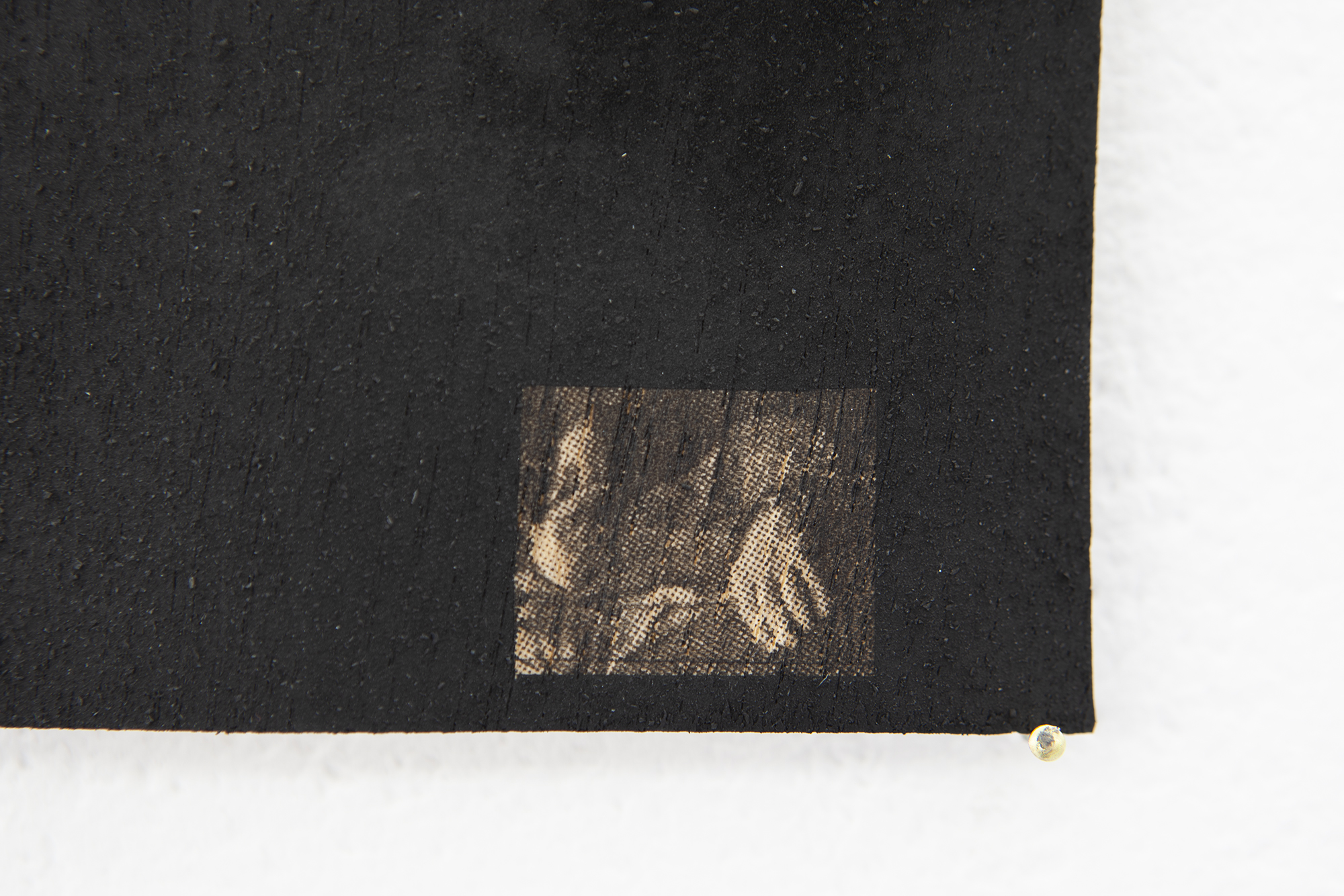 Governmental Fires, 2021 (Detail)