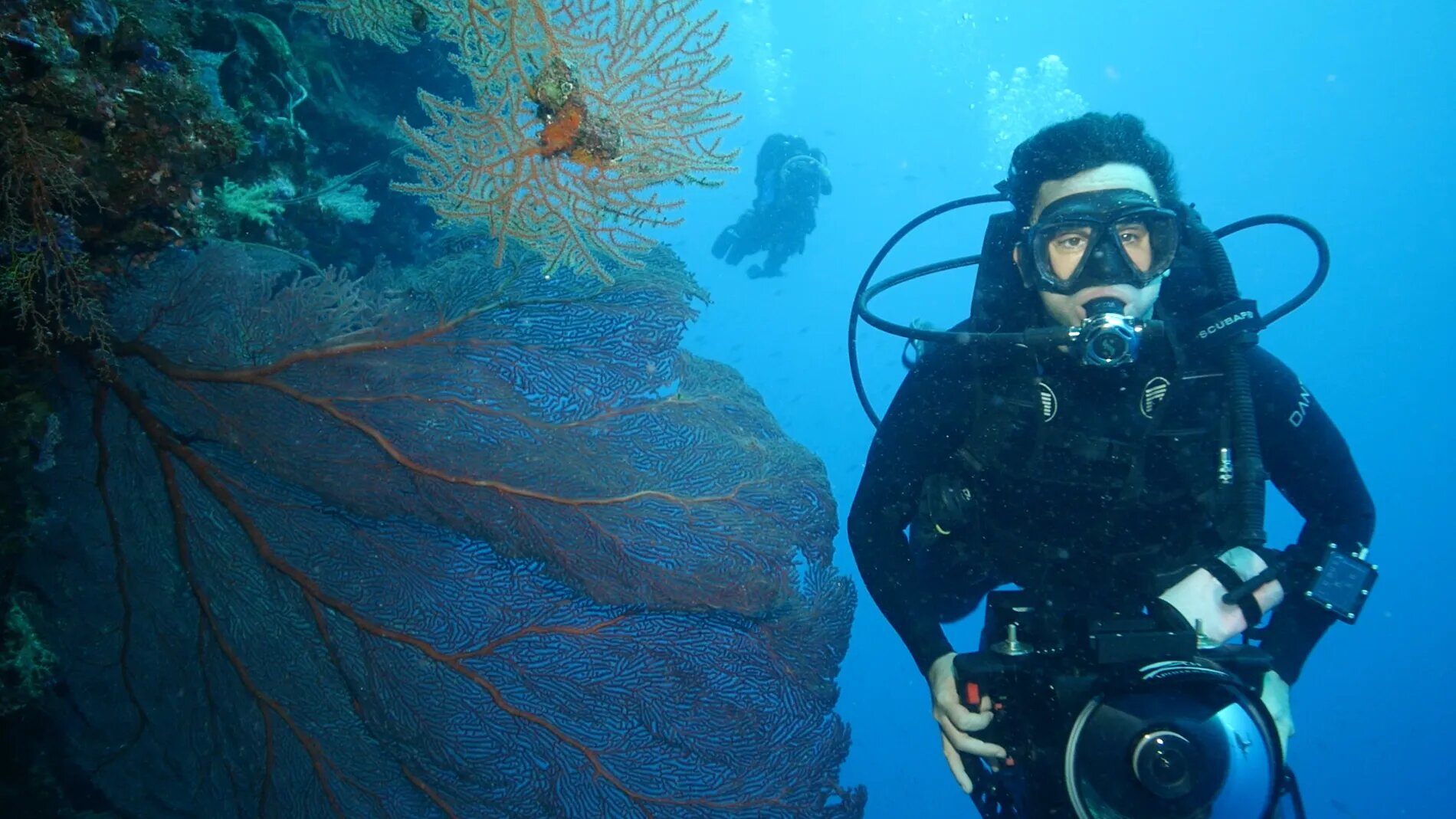 Arrels | Llums sota l'aigua