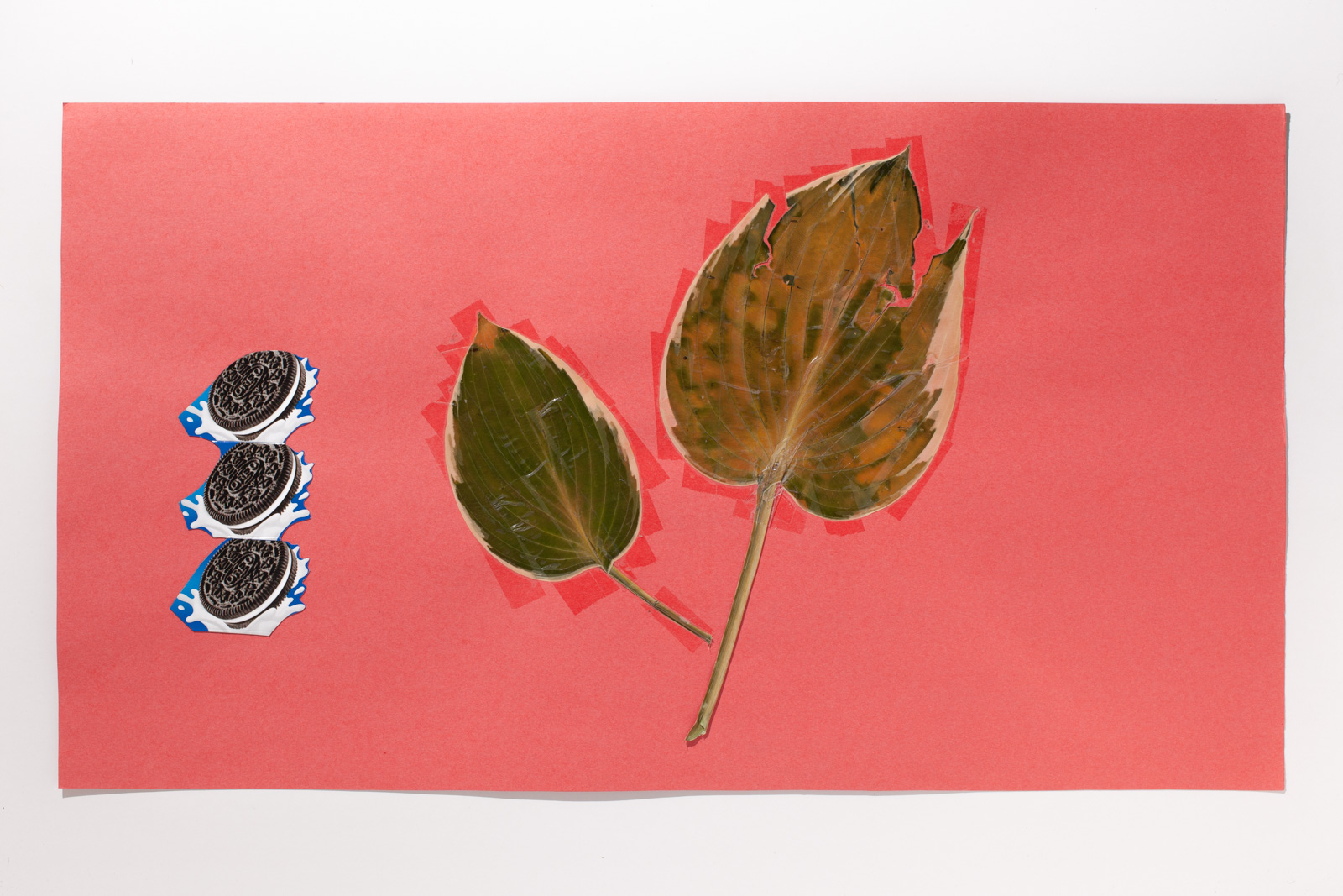 Untitled Collage 2015.07.22 103