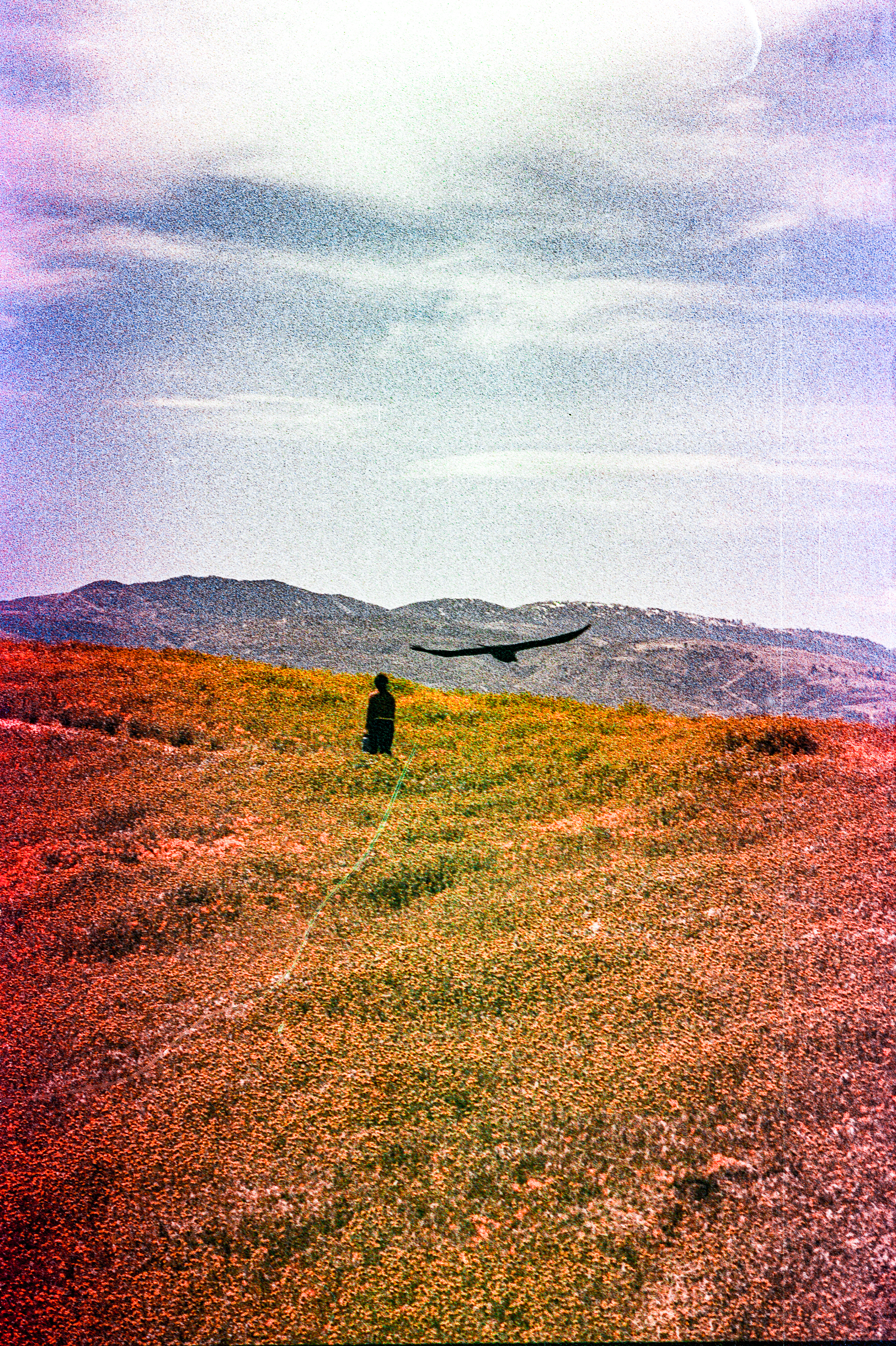 Two silhouettes, Antelope Valley, CA 2023