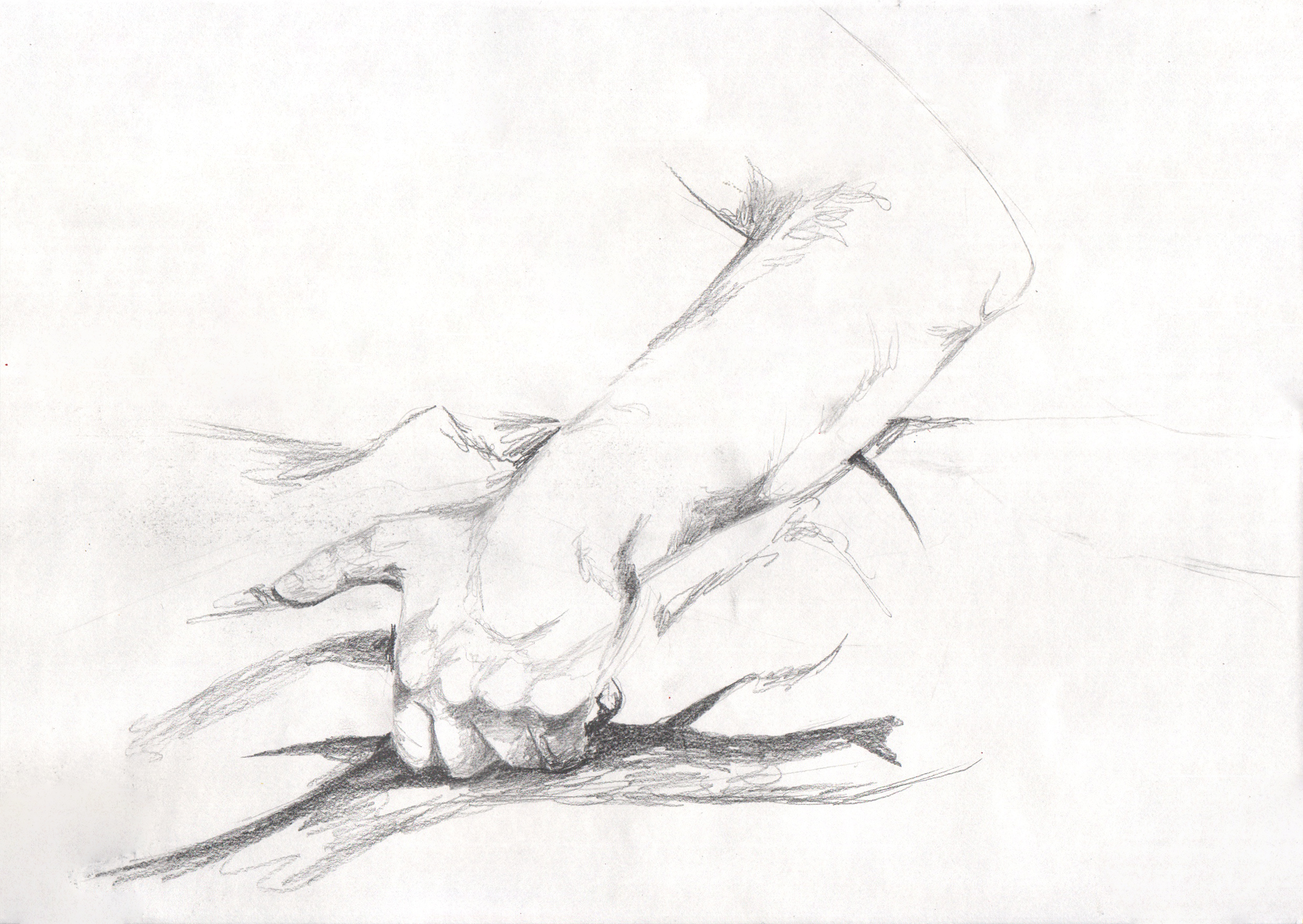 Pencil on paper, 298 x 420 mm, 2020